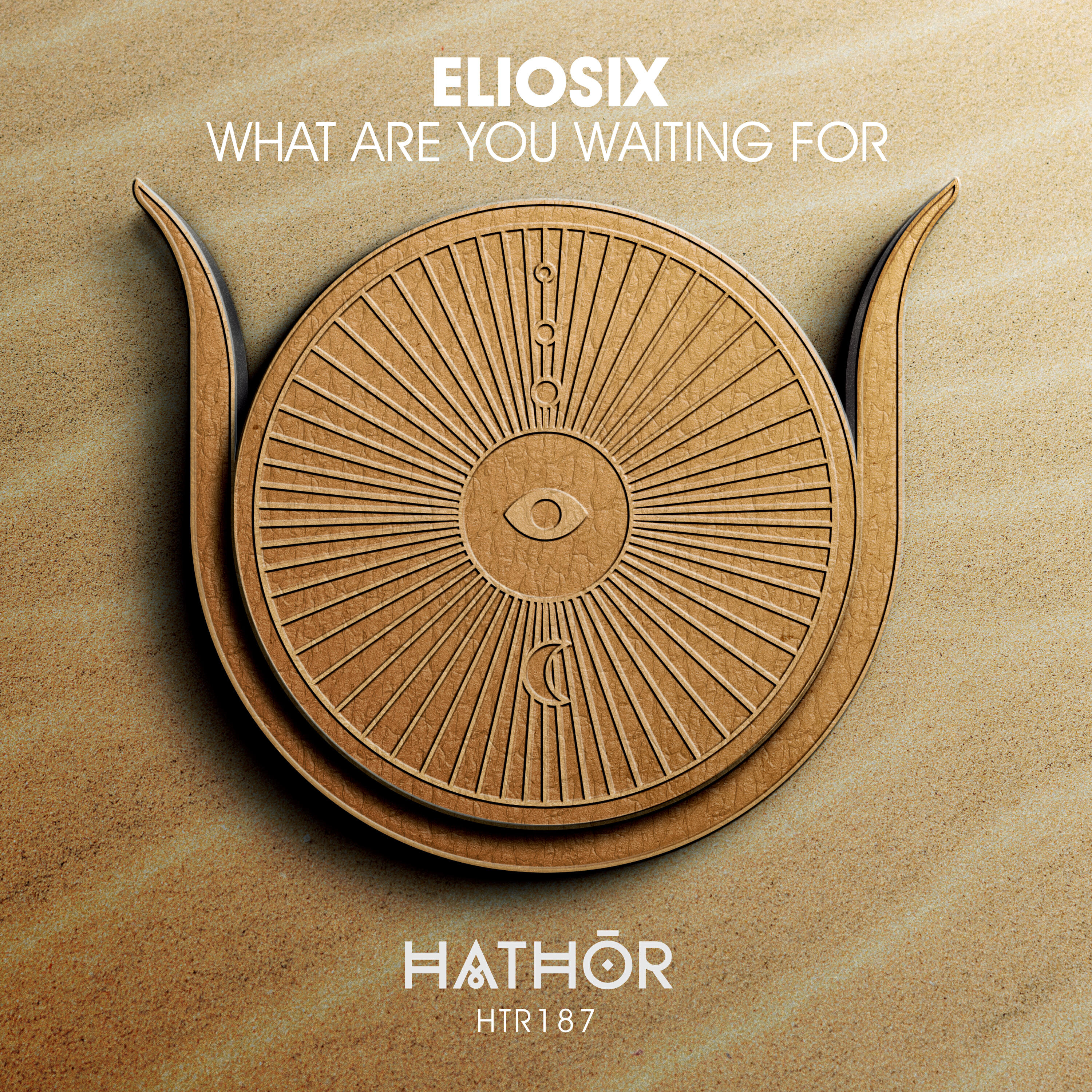 Релиз What Are You Waiting For