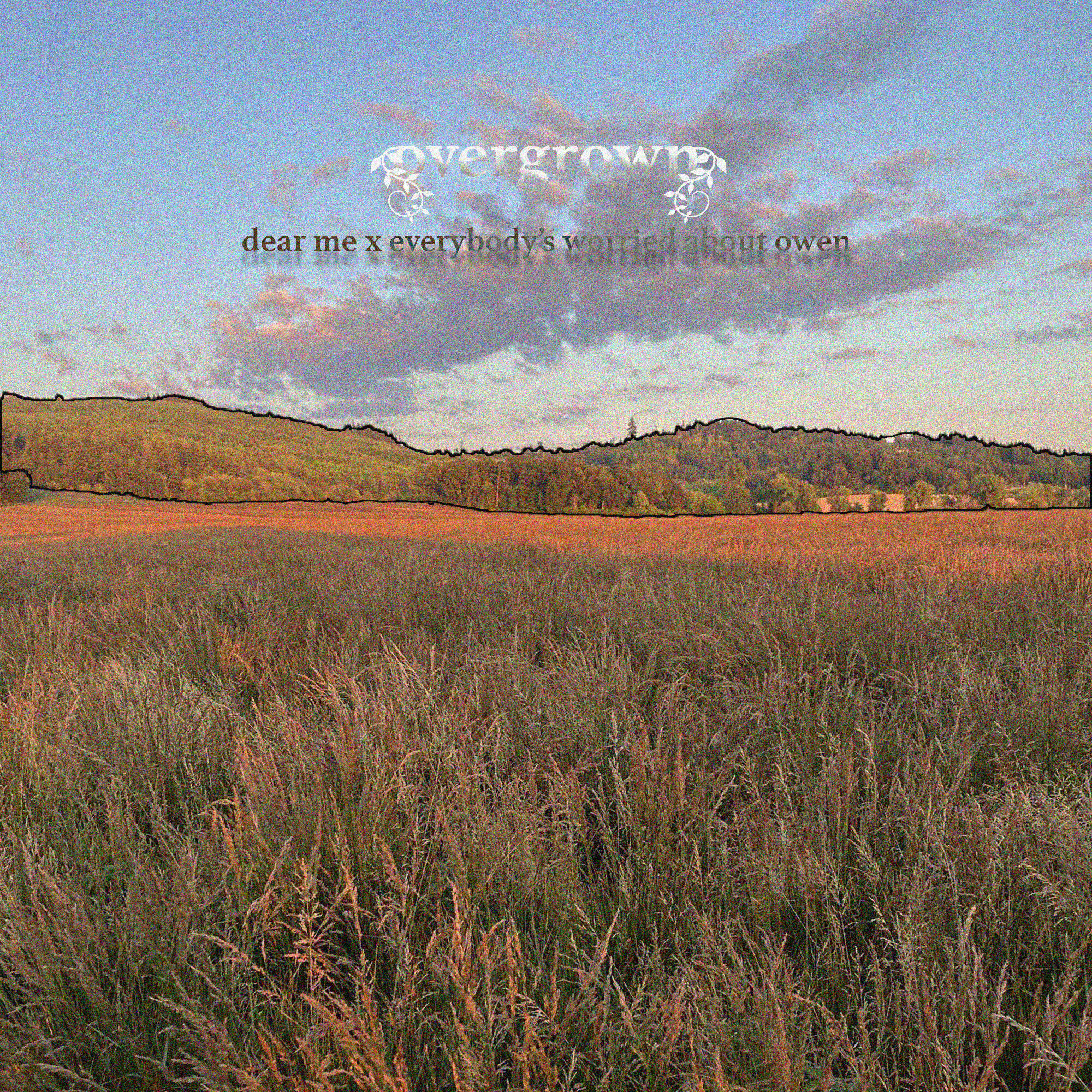 Релиз overgrown
