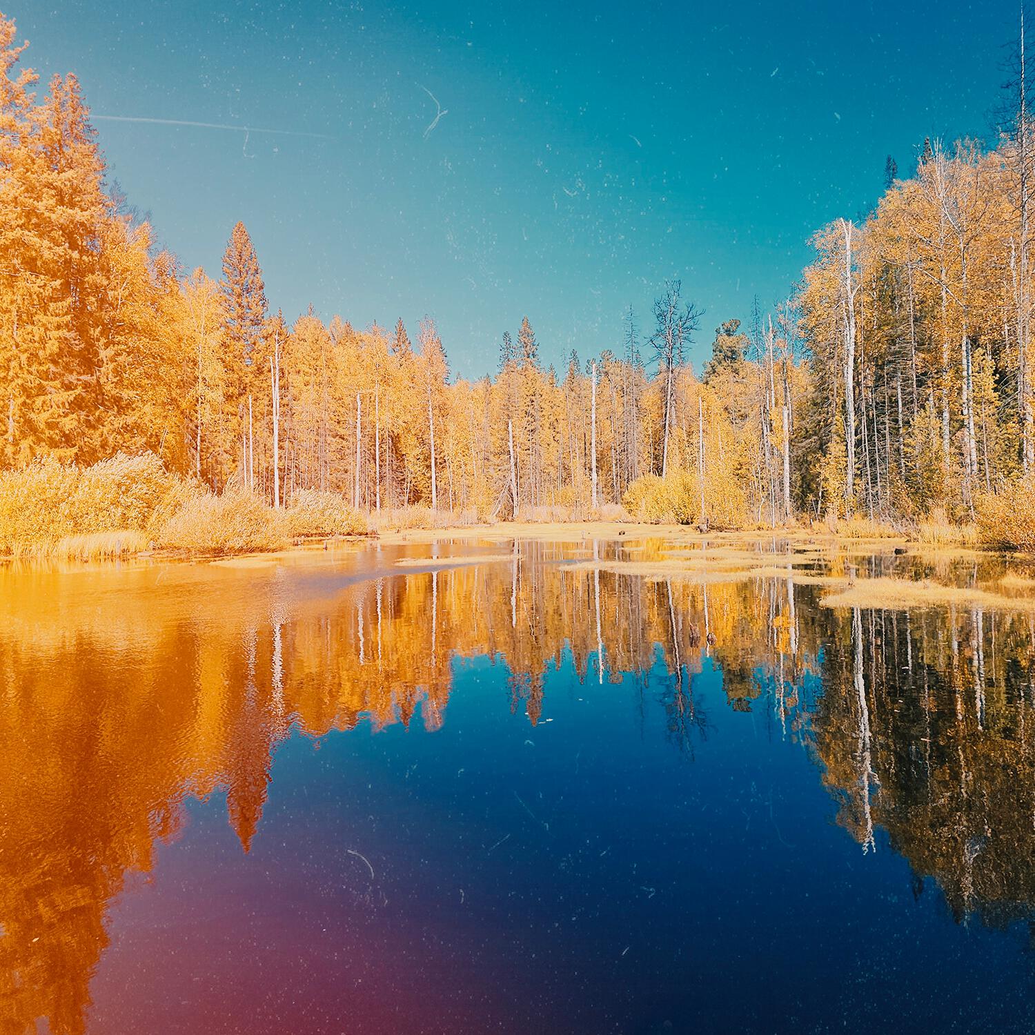 Постер альбома отам