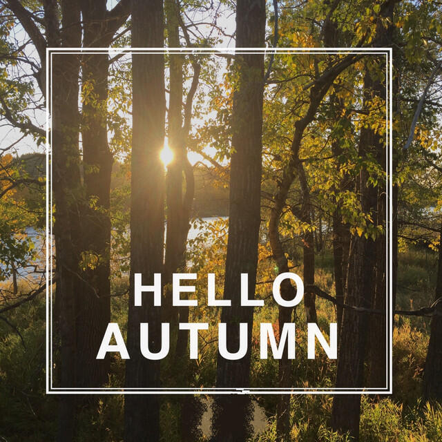 Постер альбома Hello Autumn 2022