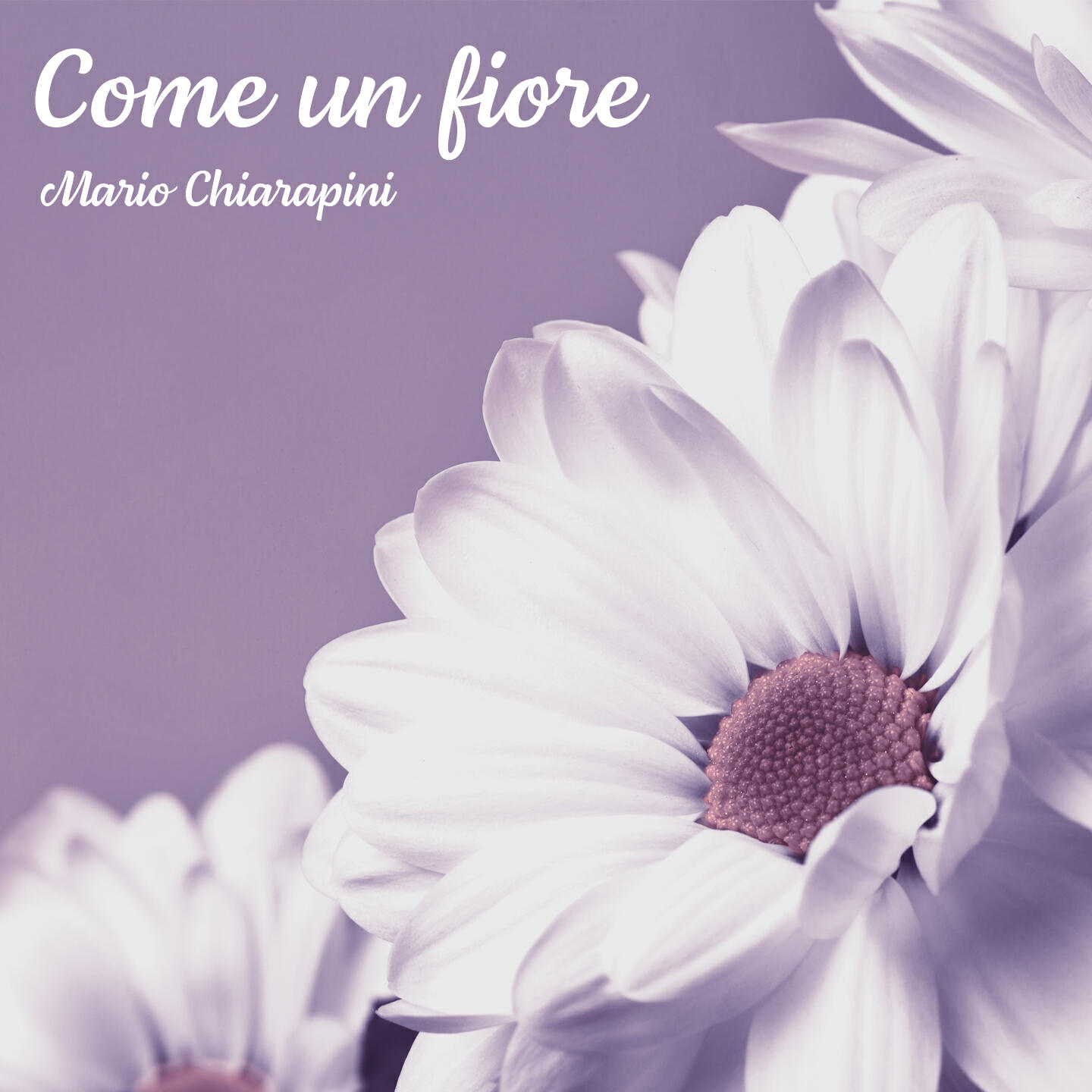 Релиз Come un fiore