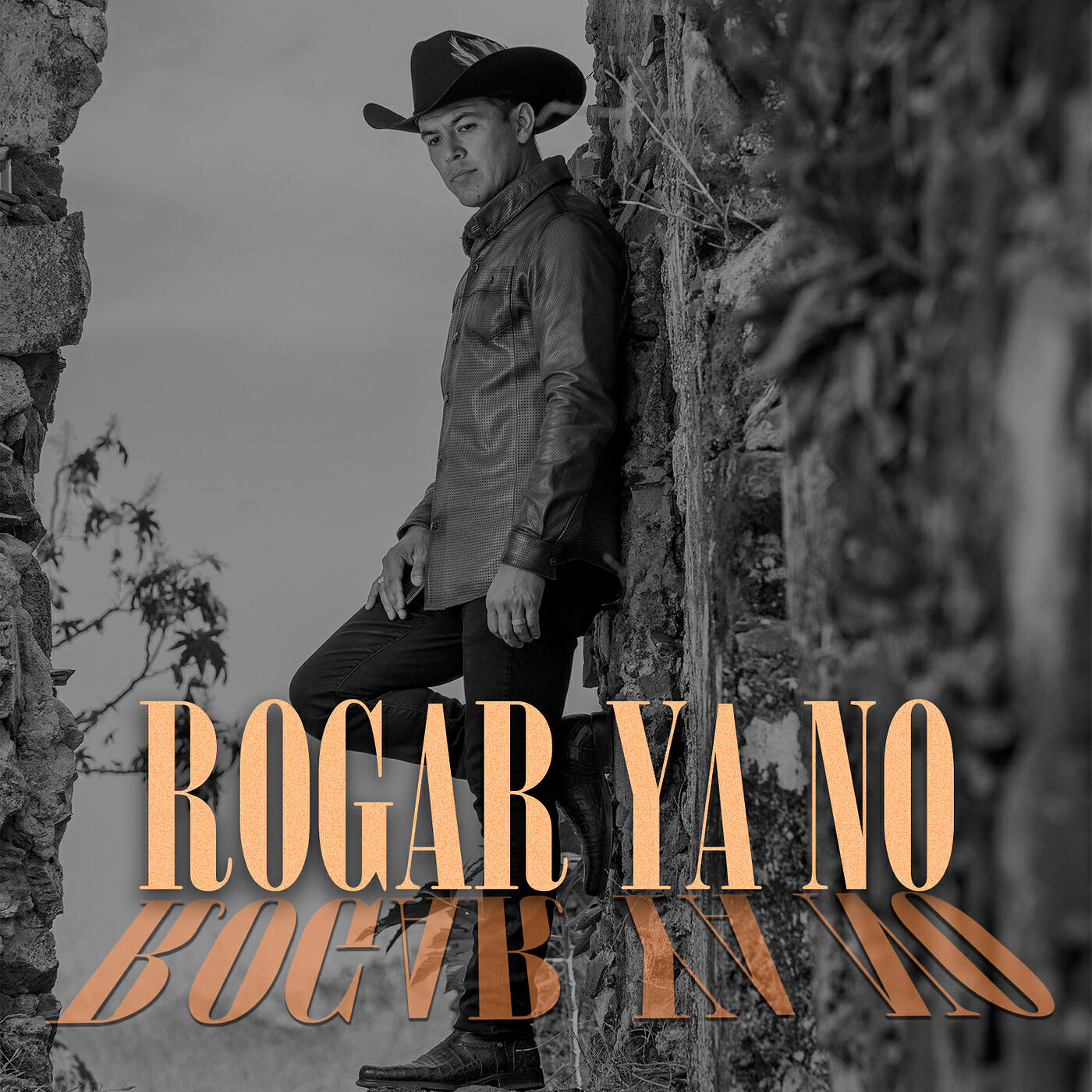 Релиз Rogar Ya No