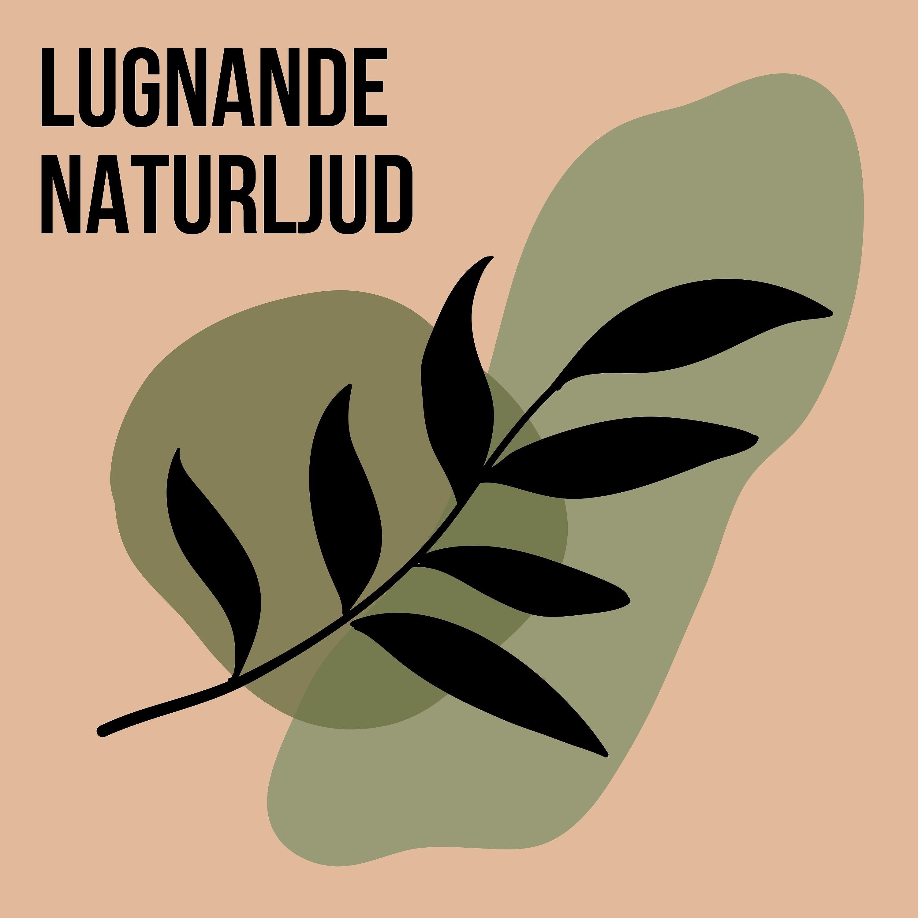 Naturliga Ljudterapi Masters