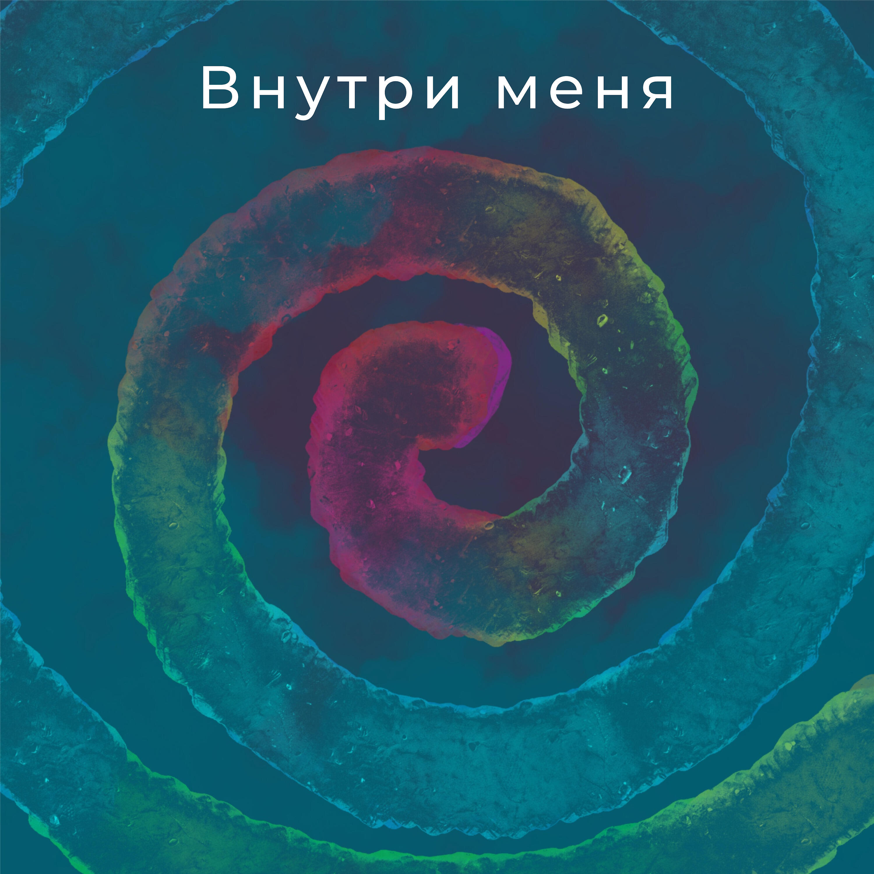 Релиз Внутри меня