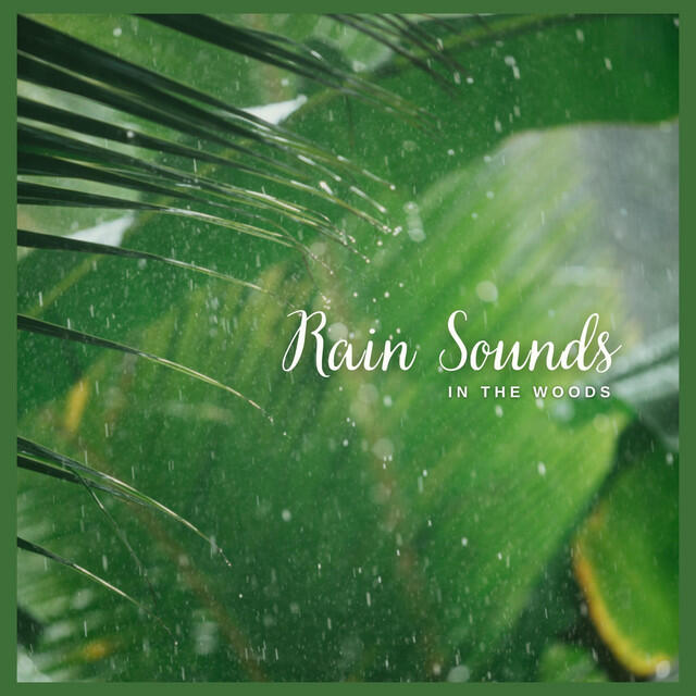 Ambient Sounds from I'm In Records