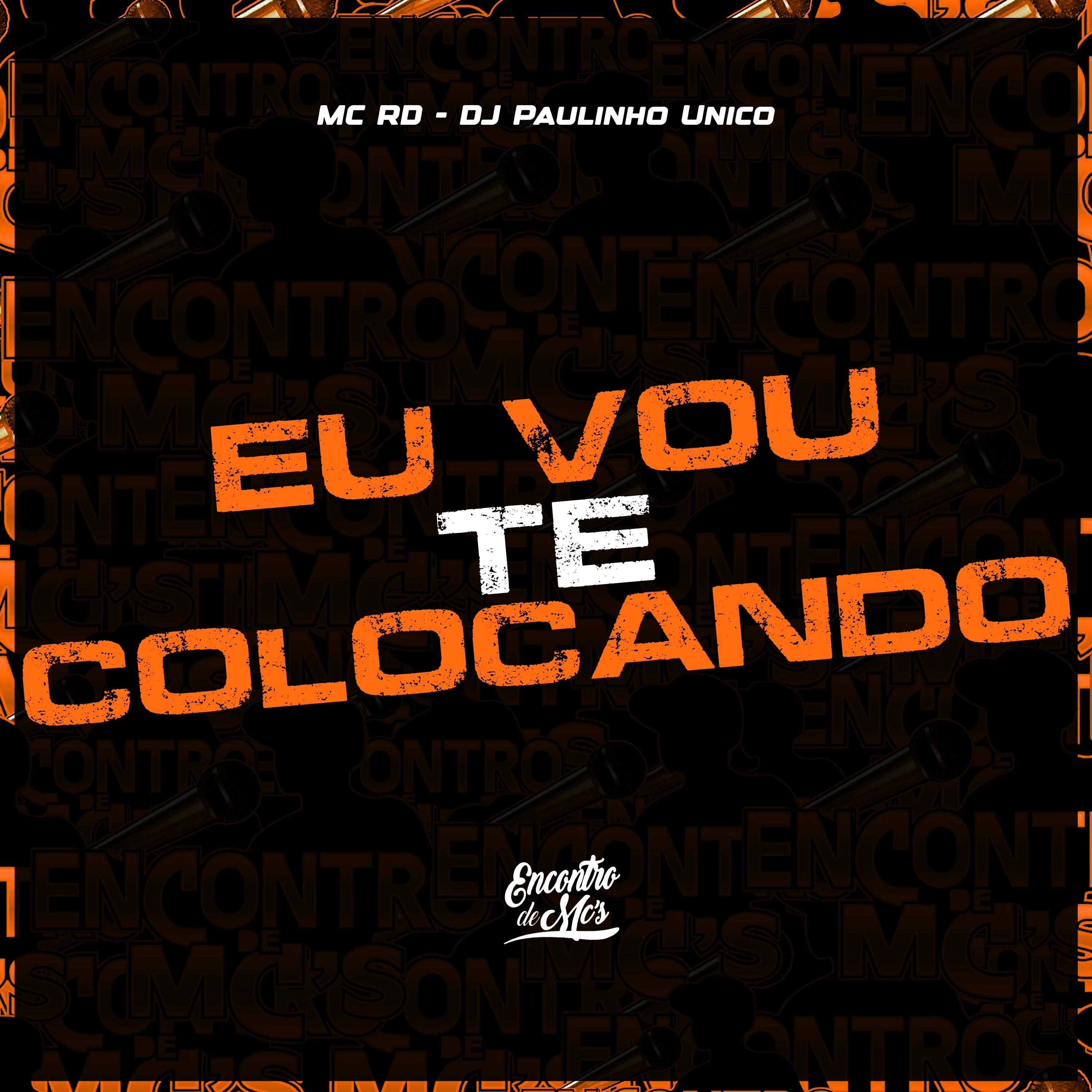 Скачать песню Mc Rd, Dj Paulinho Unico - Eu Vou Te Colocando бесплатно в MP3 для Android и iOS