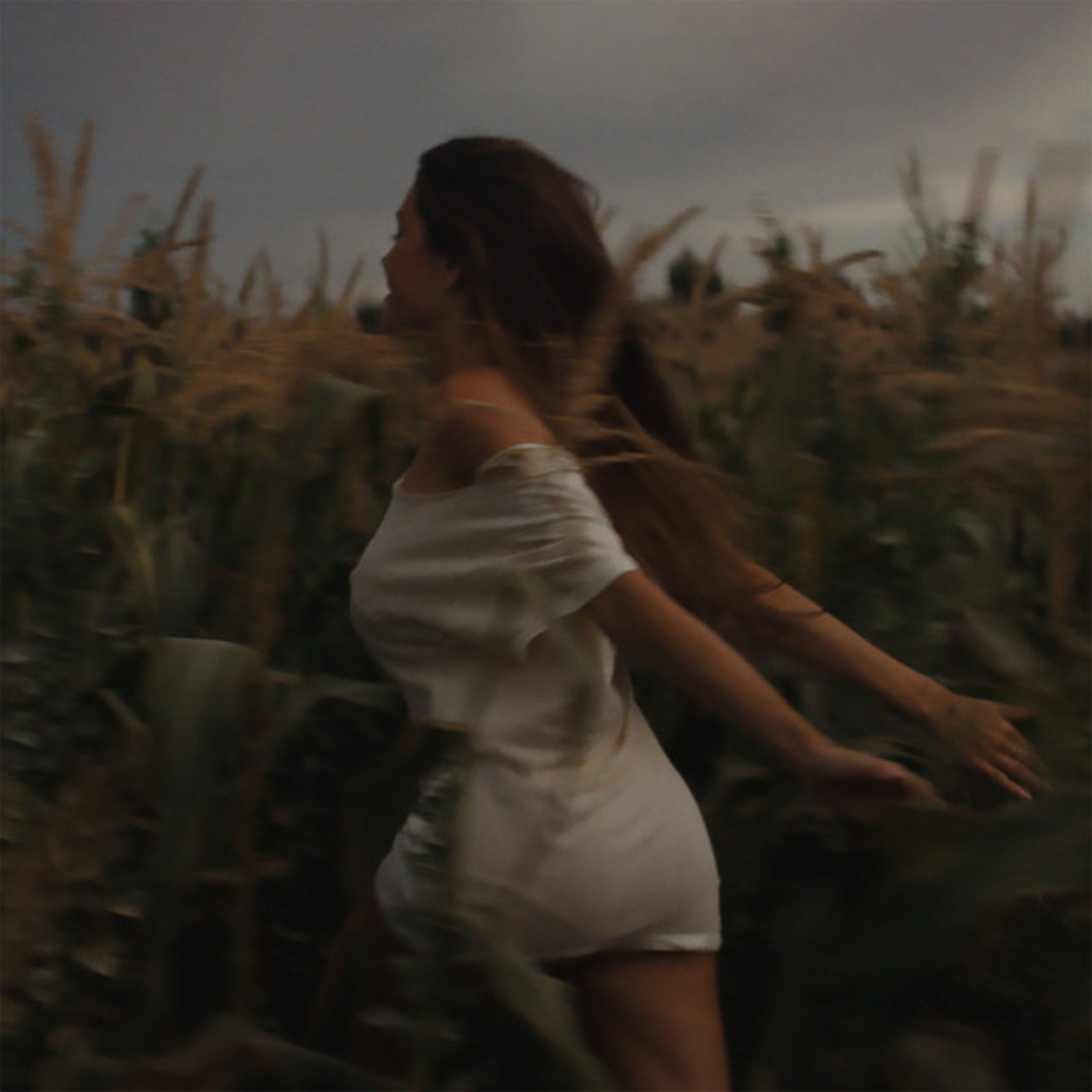 Релиз Silence Between Songs