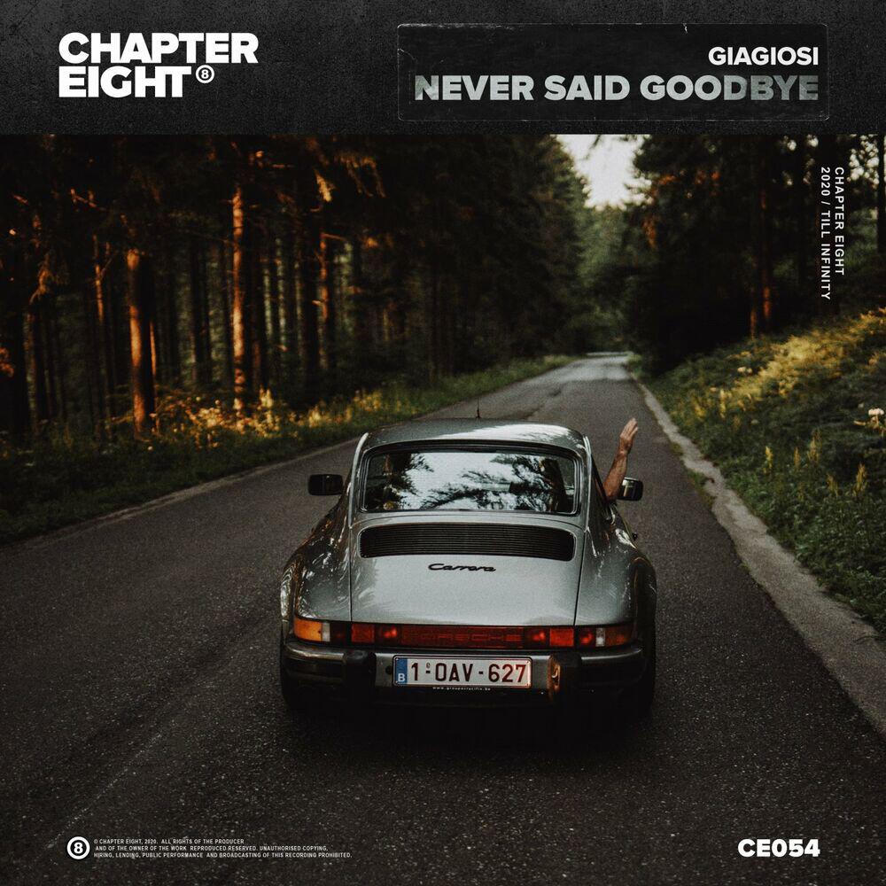 Релиз Never Say Goodbye