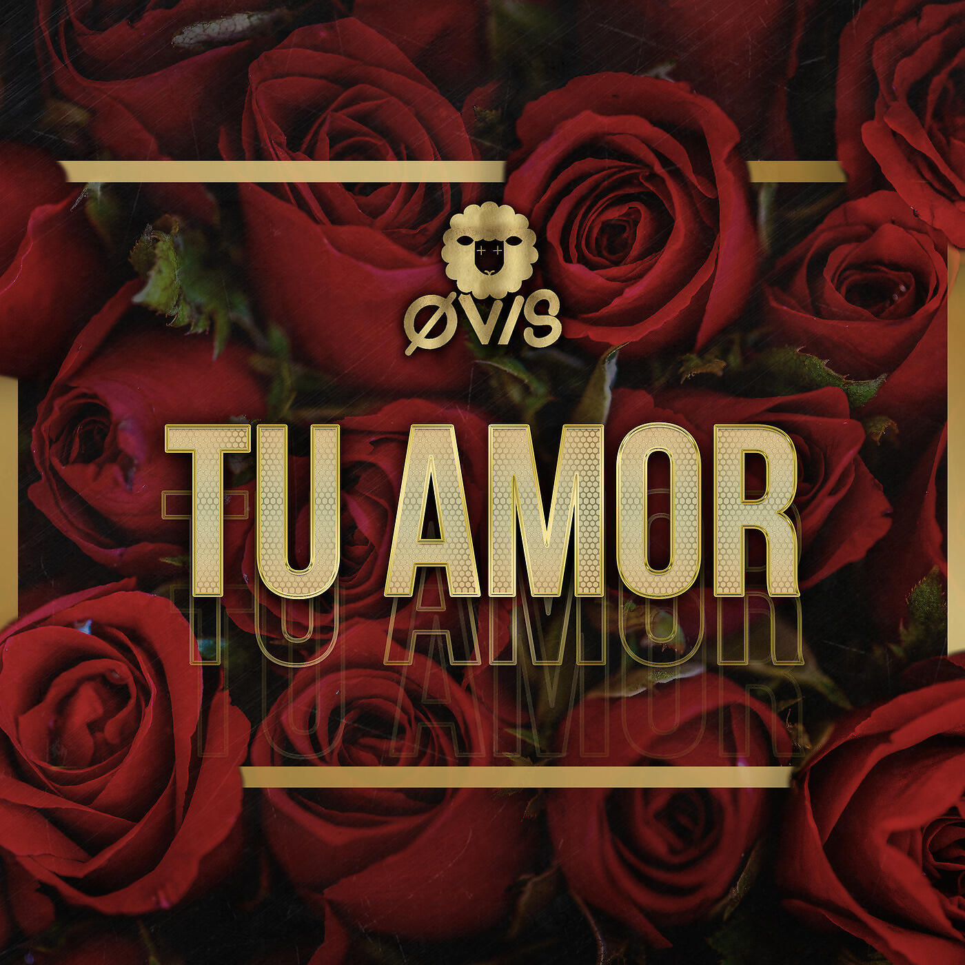 Релиз Tu Amor