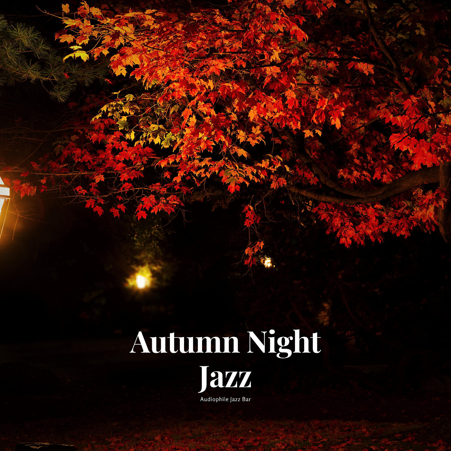 Релиз Autumn Night Jazz