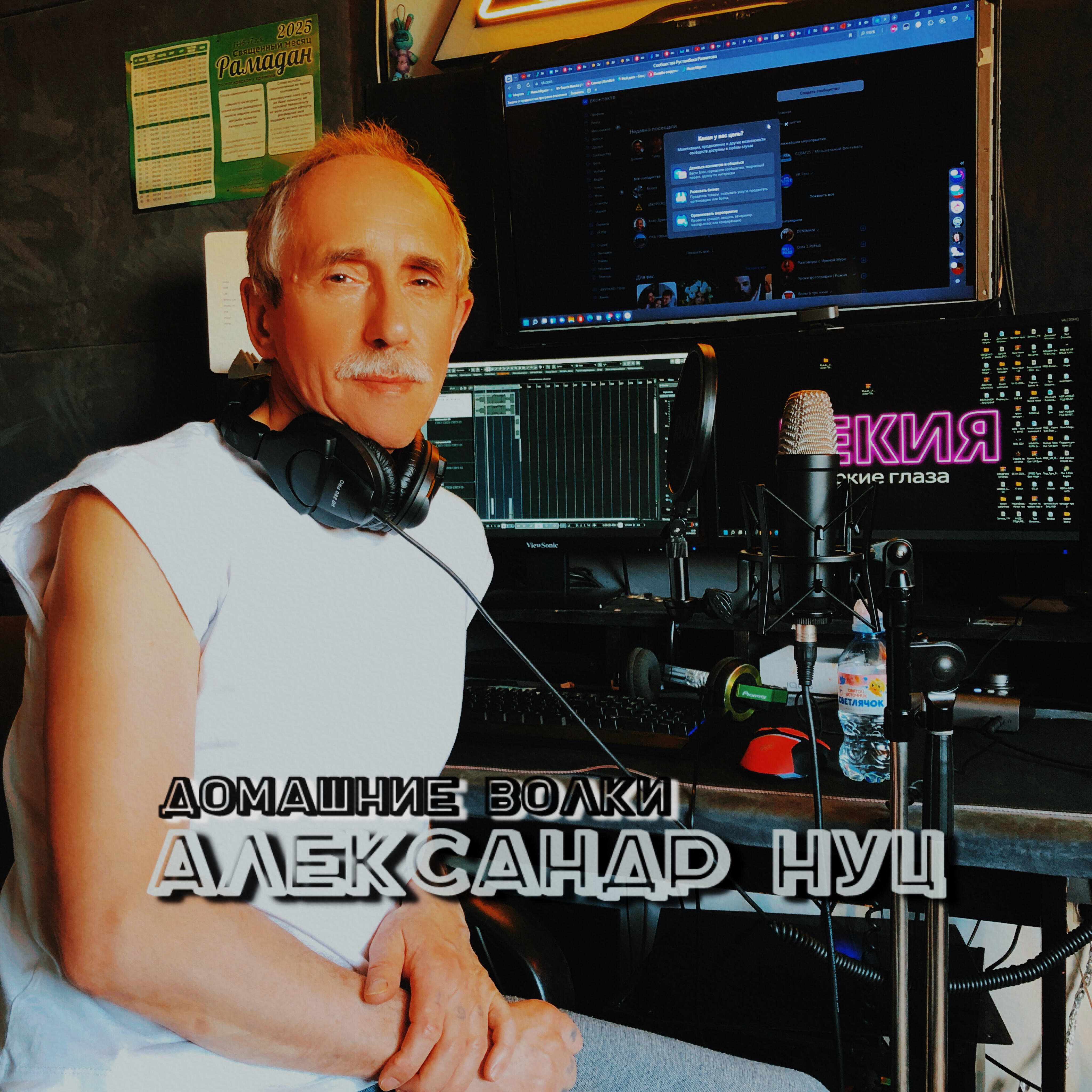 Релиз Домашние волки