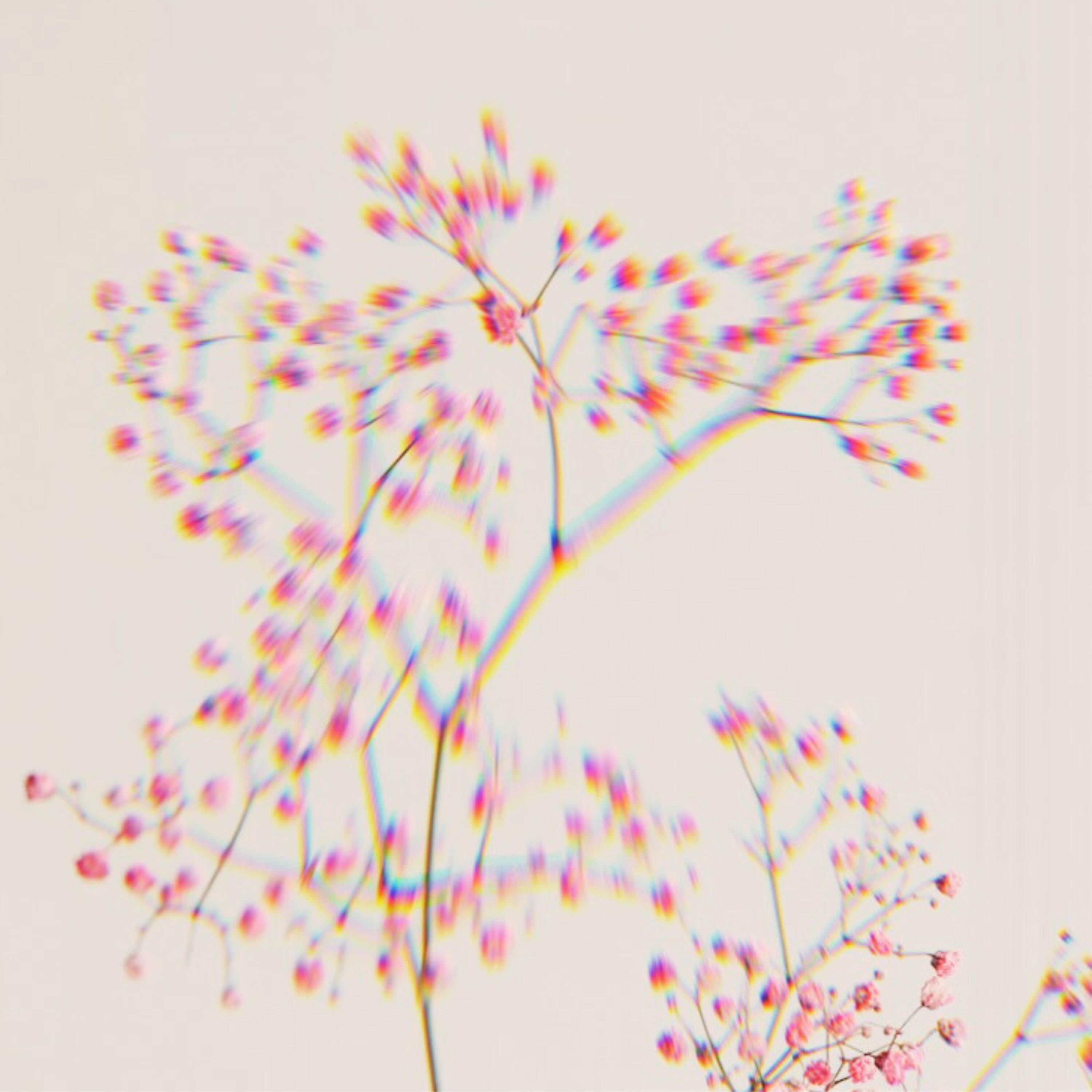 Релиз Ink and Silence