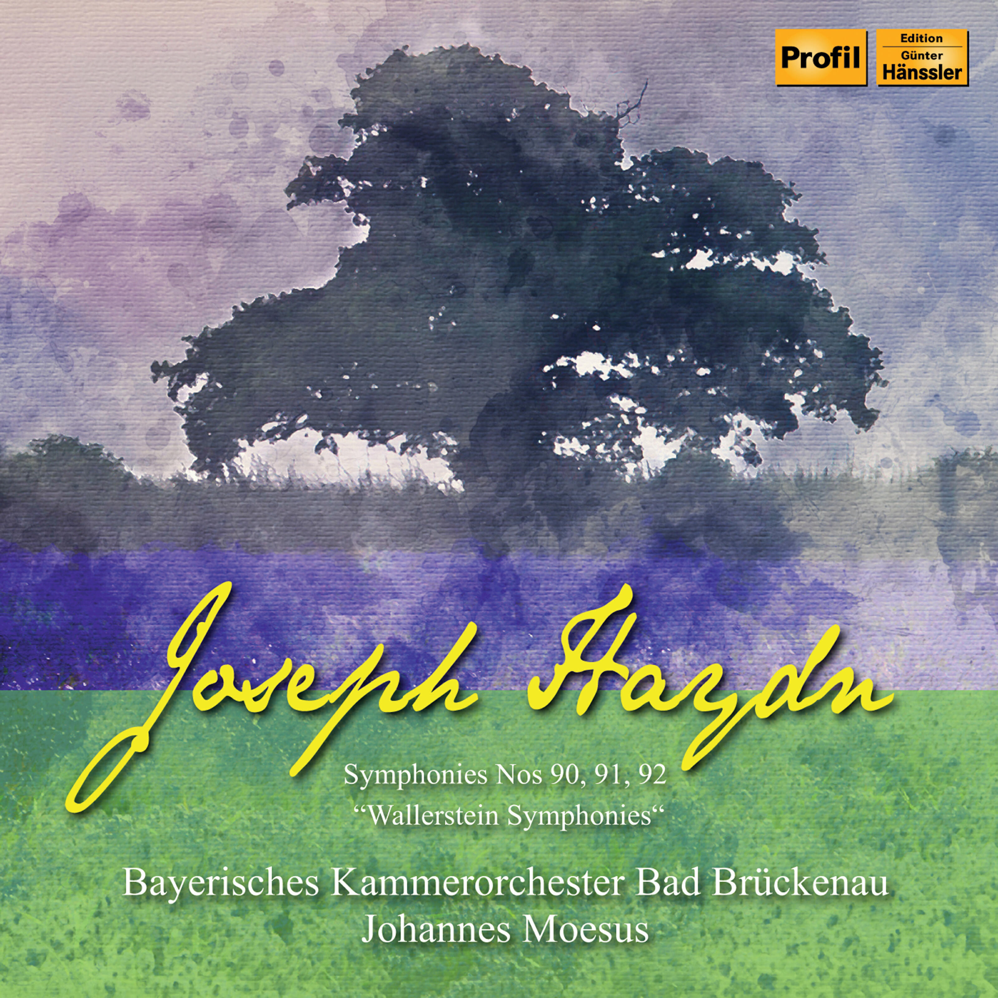Релиз Haydn: Wallerstein Symphonies