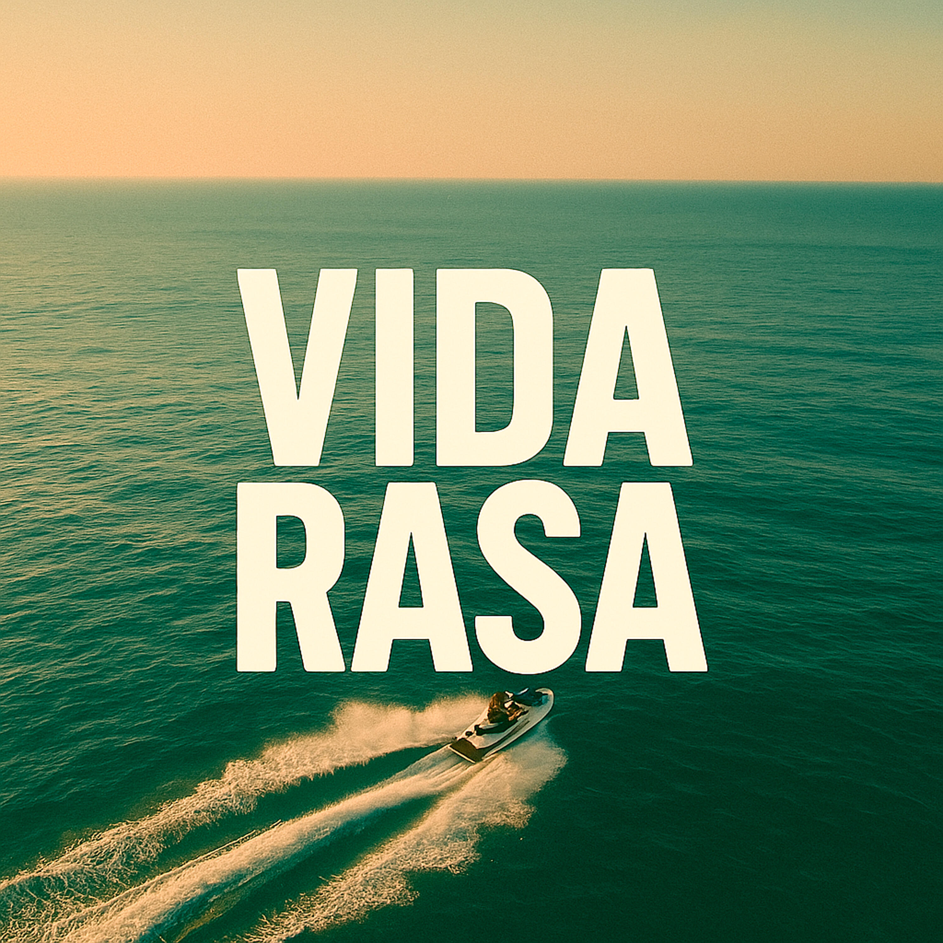 Релиз Vida Rasa