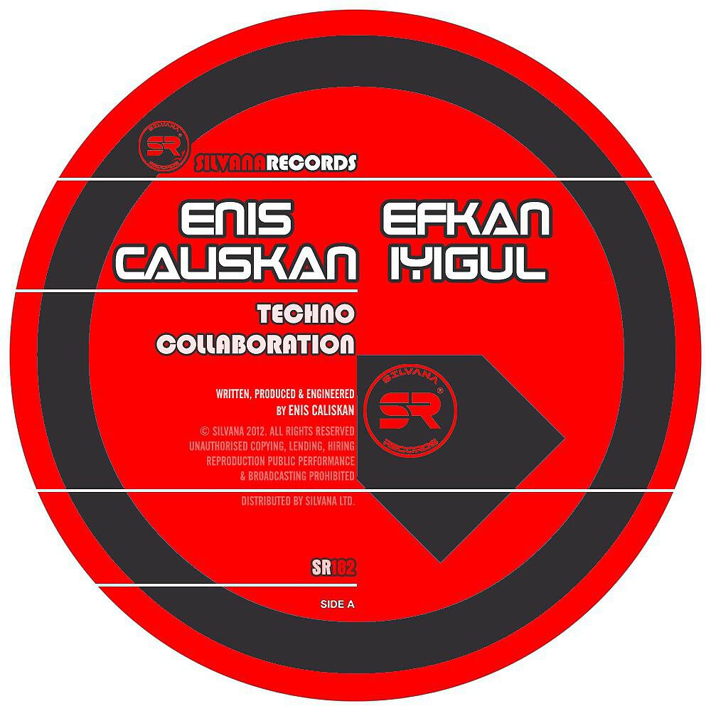 Enis Caliskan & Efkan Iyigul