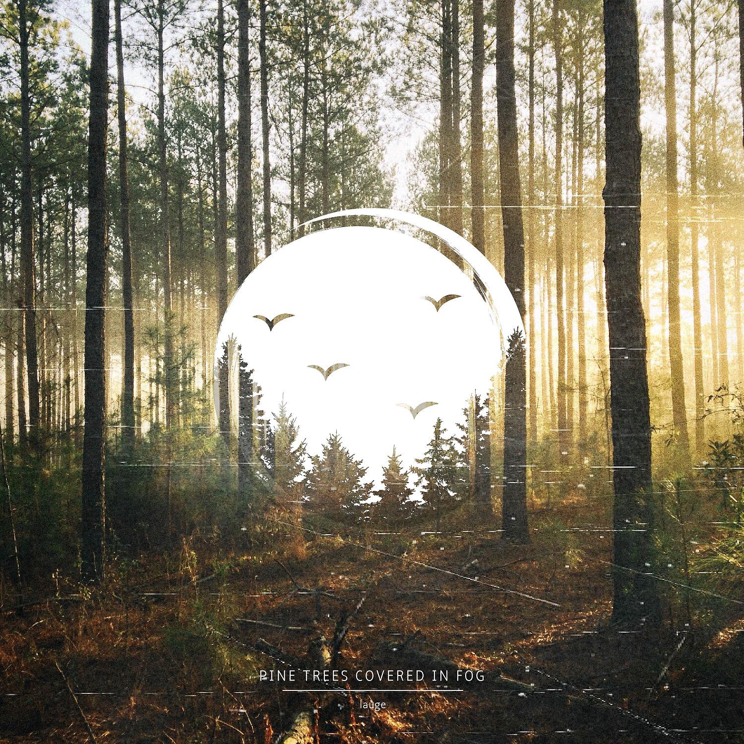 Релиз Pine Trees Covered in Fog