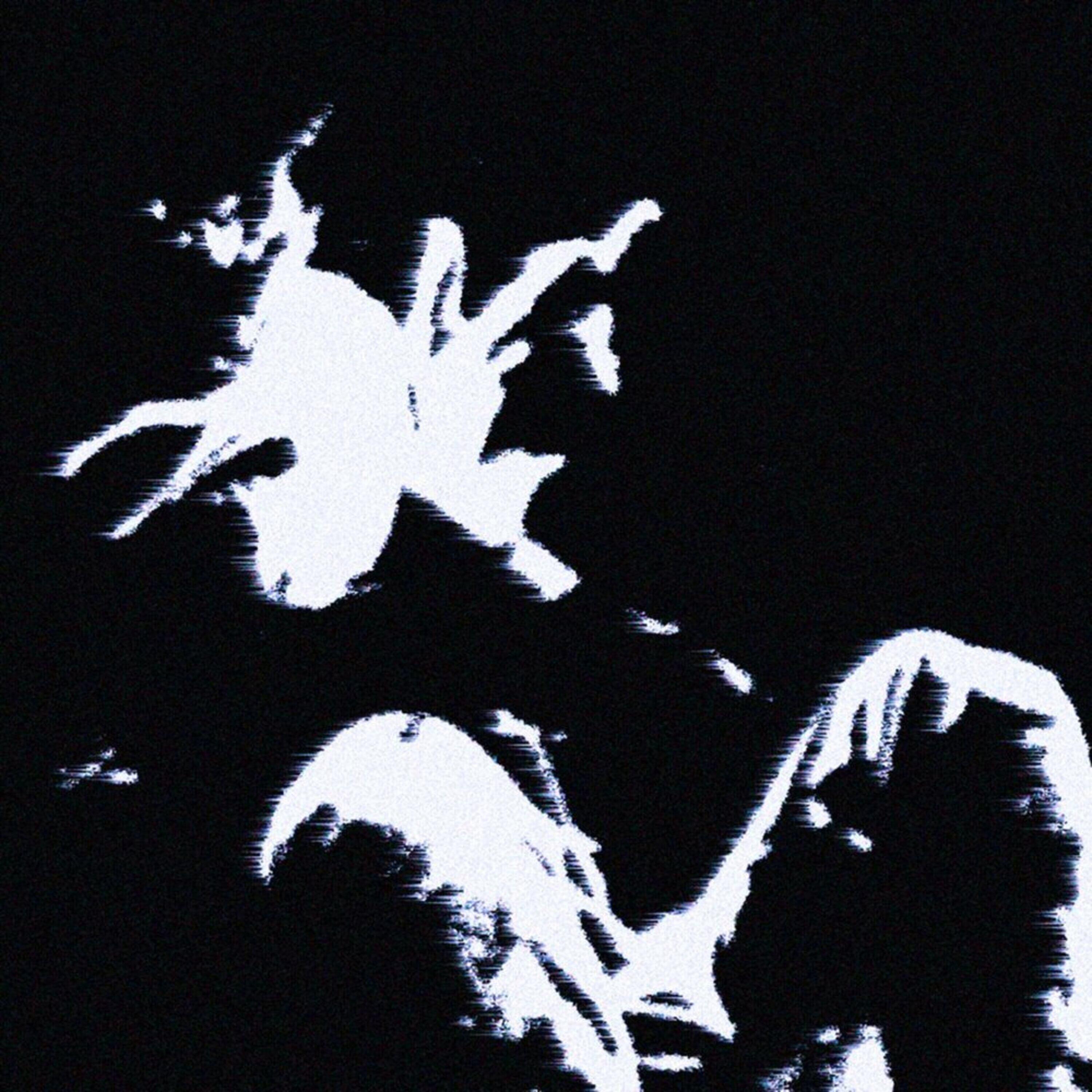 Релиз NIRVANA