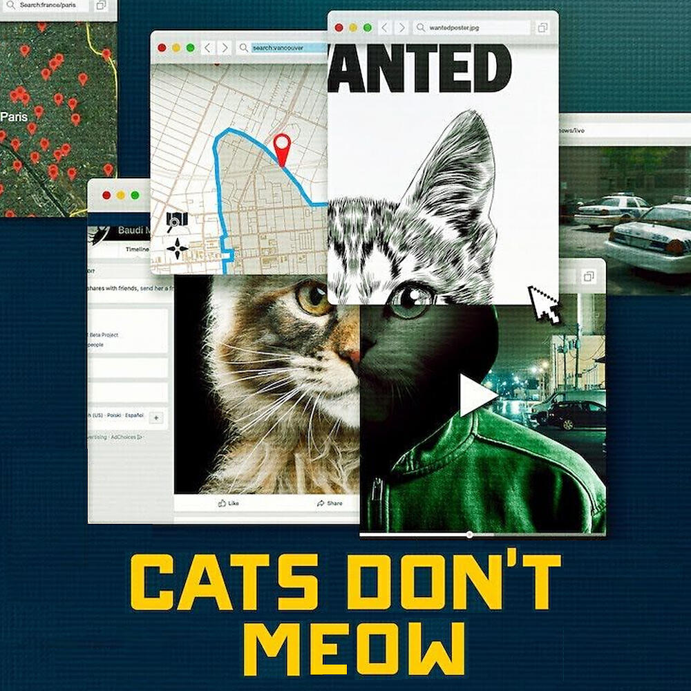 Релиз Cats Don't Meow