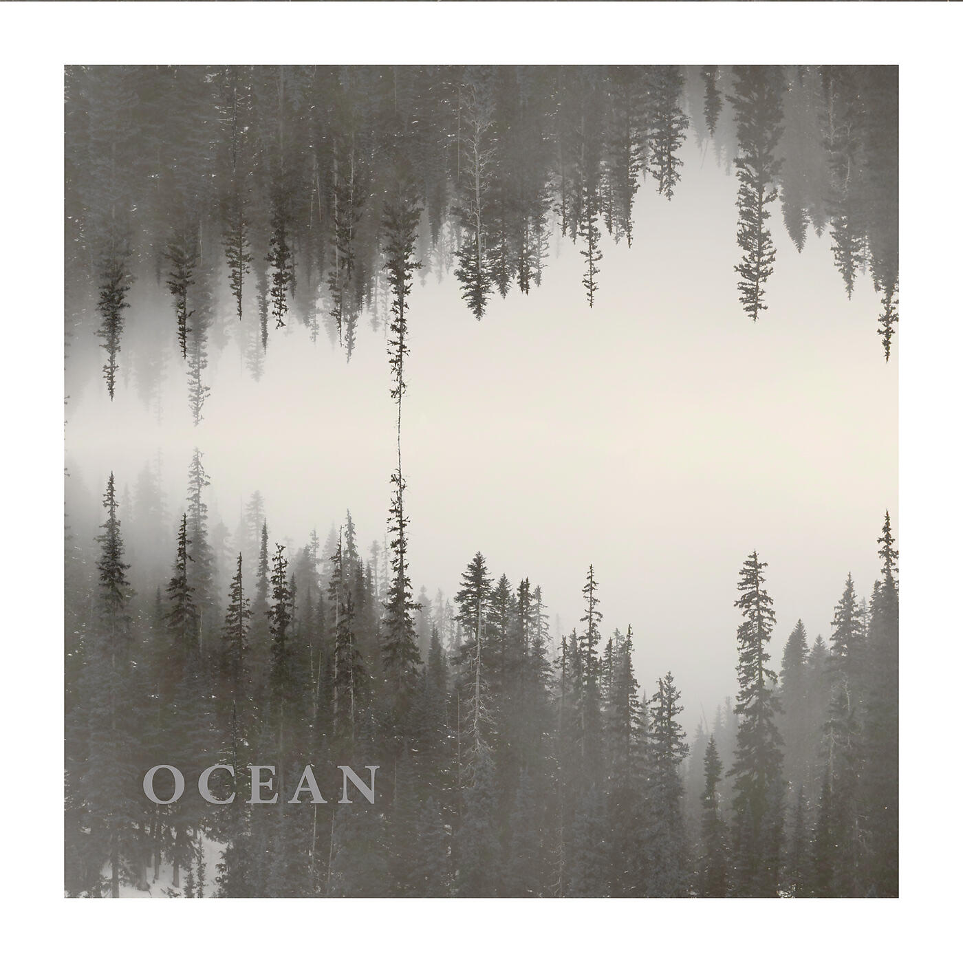 Постер альбома Ocean