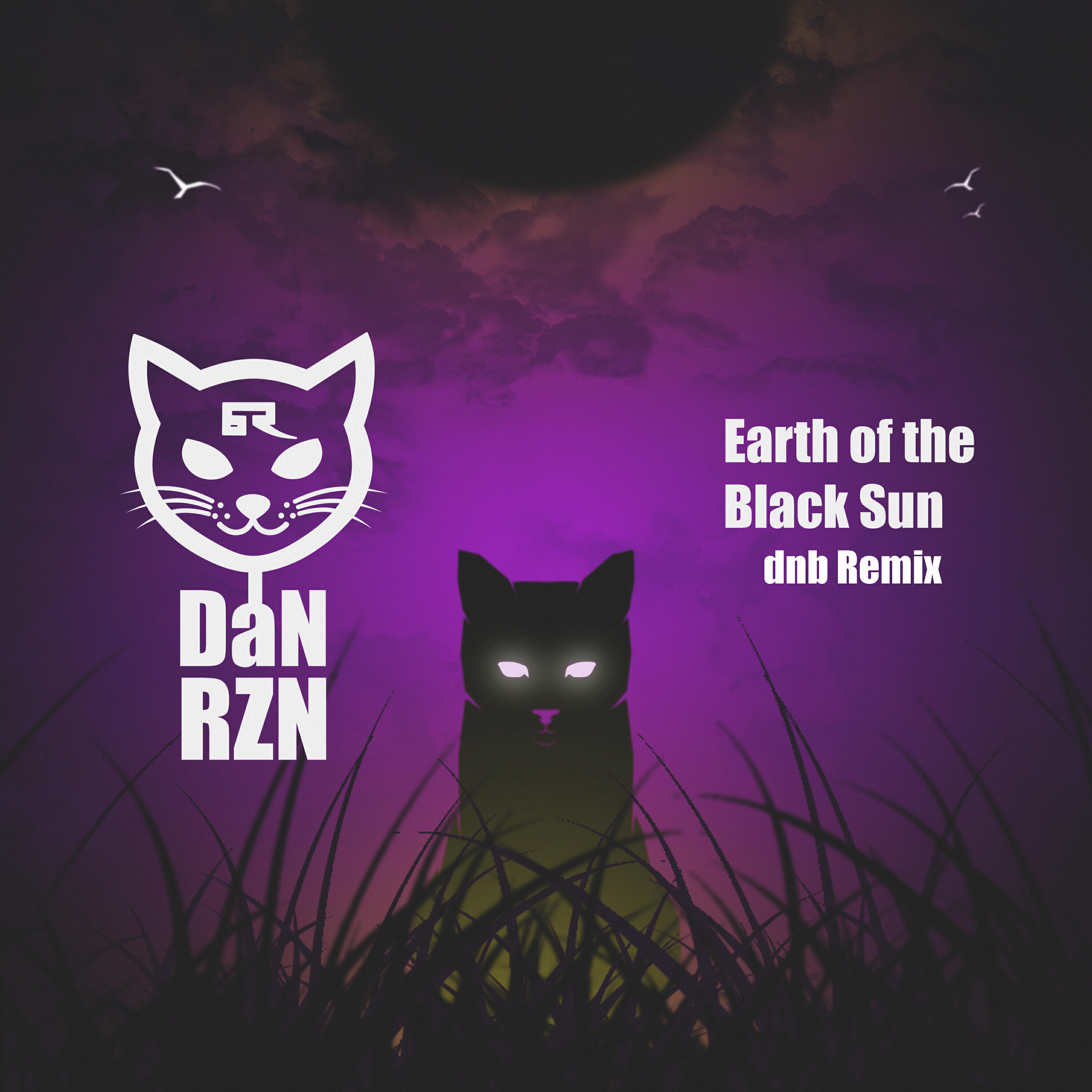 Релиз Earth of the black sun (dnb Remix)