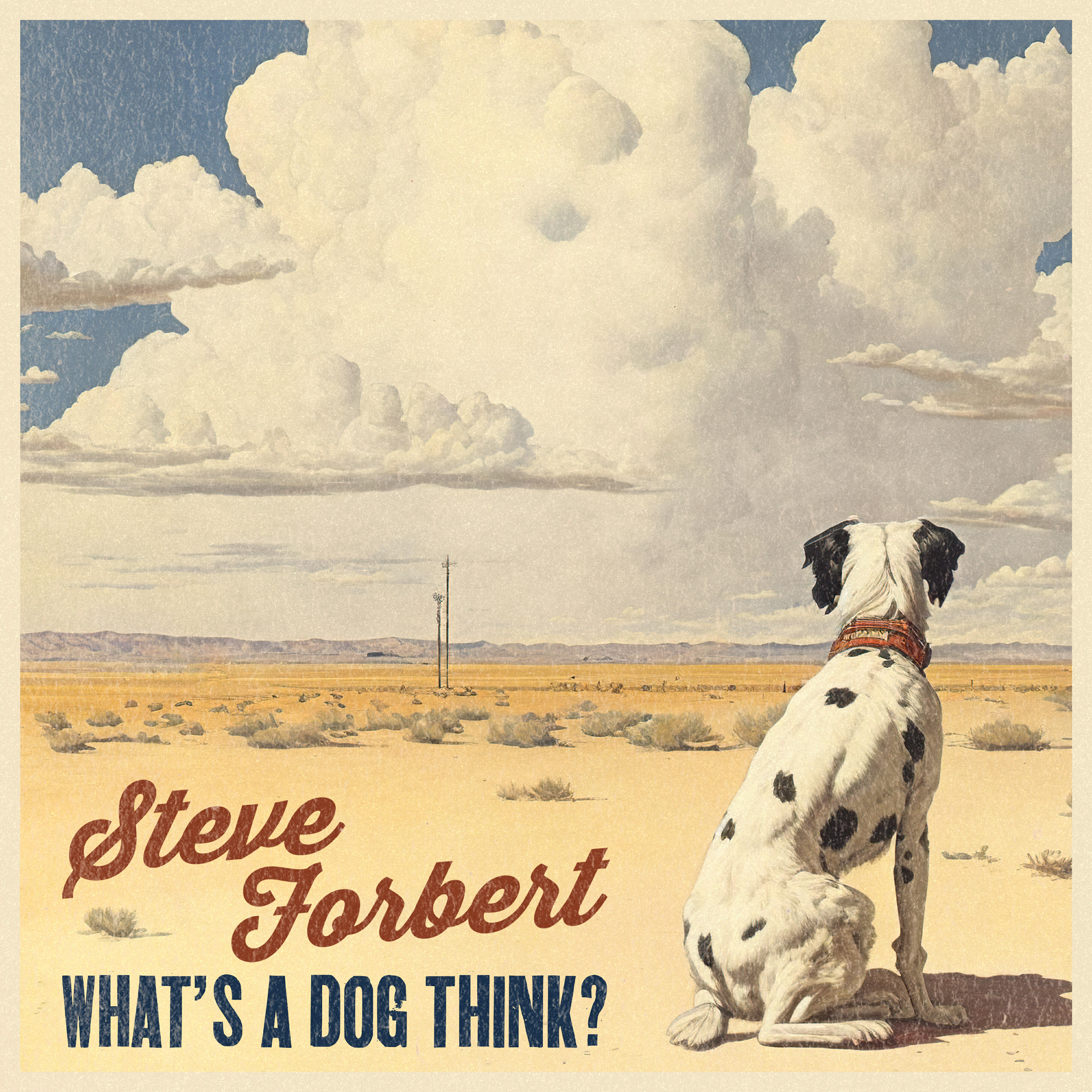 Релиз What's A Dog Think?