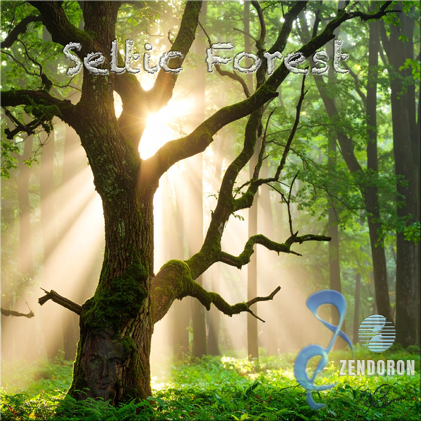 Релиз Seltic Forest