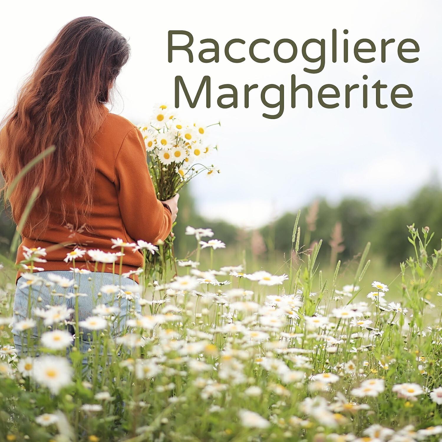 Релиз Raccogliere Margherite