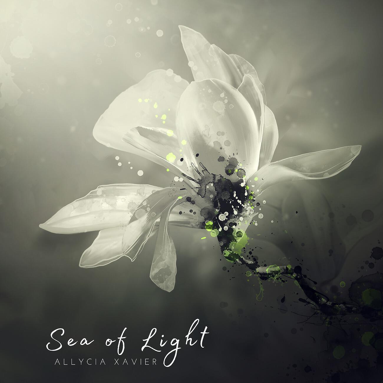 Релиз Sea of Light