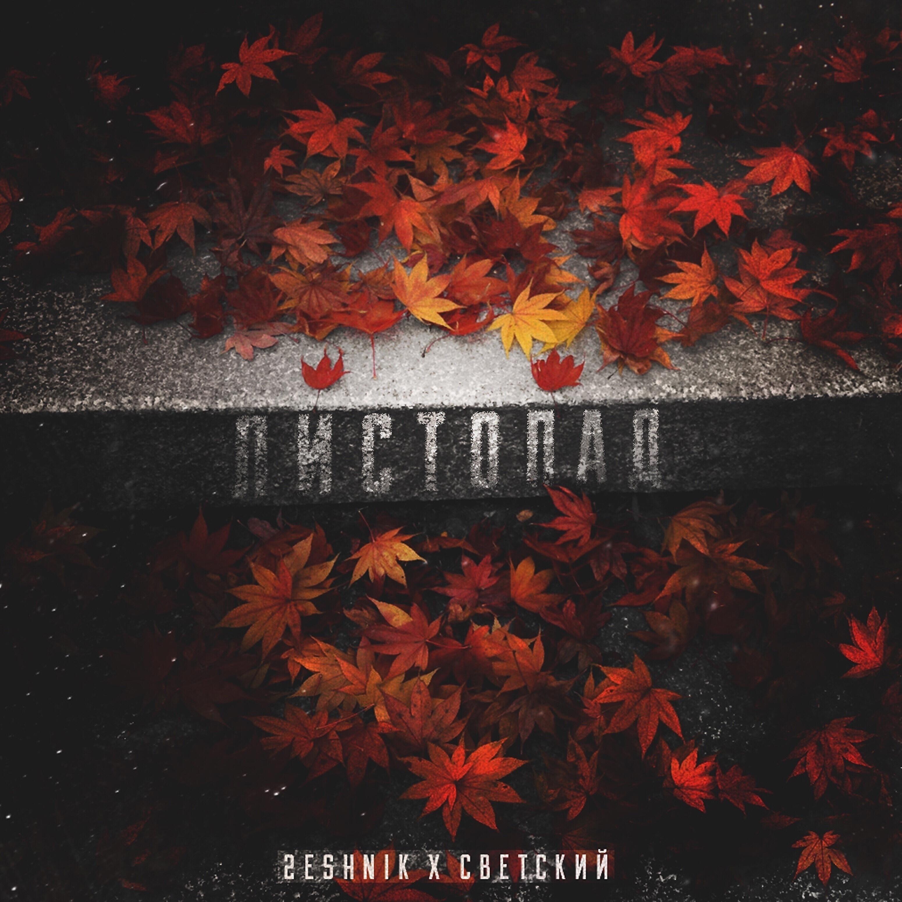 Релиз Листопад