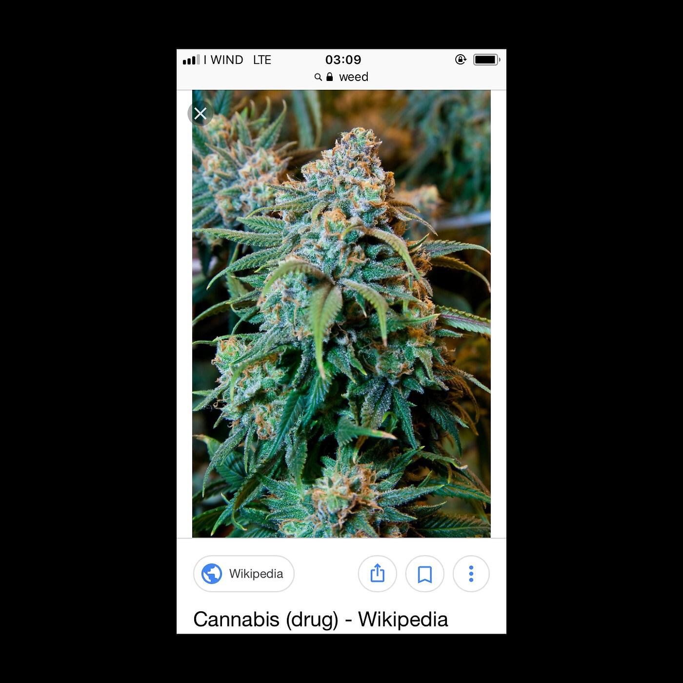 Скачать песню Mandrone, Blaq Deezy, Cool Caddish, Horus Su Maccu, Jim De Banlieue, Sensei, Shanda, Steve Hem - Su spinè (Remix) бесплатно в MP3 для Android и iOS