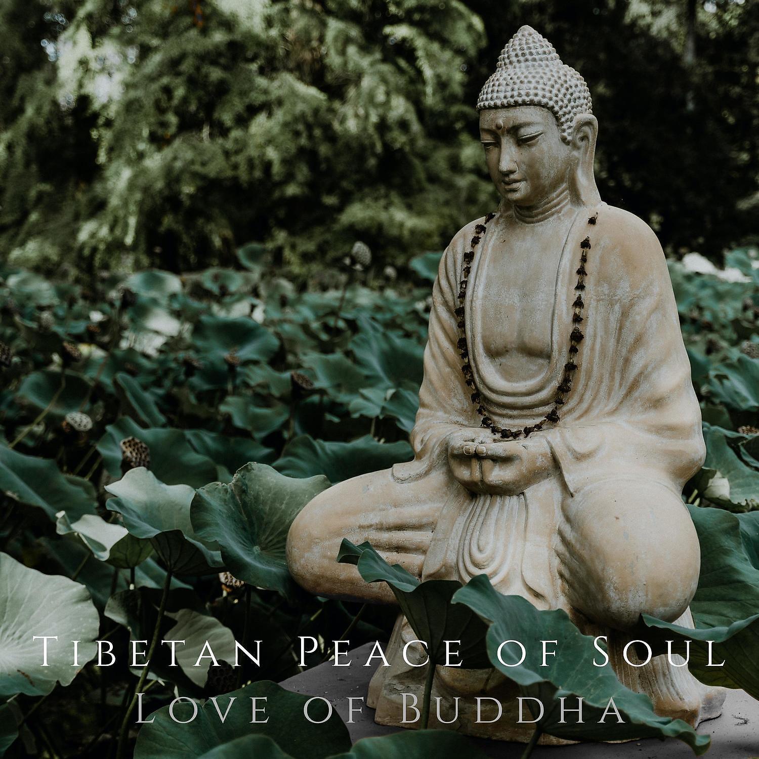 Релиз Love of Buddha