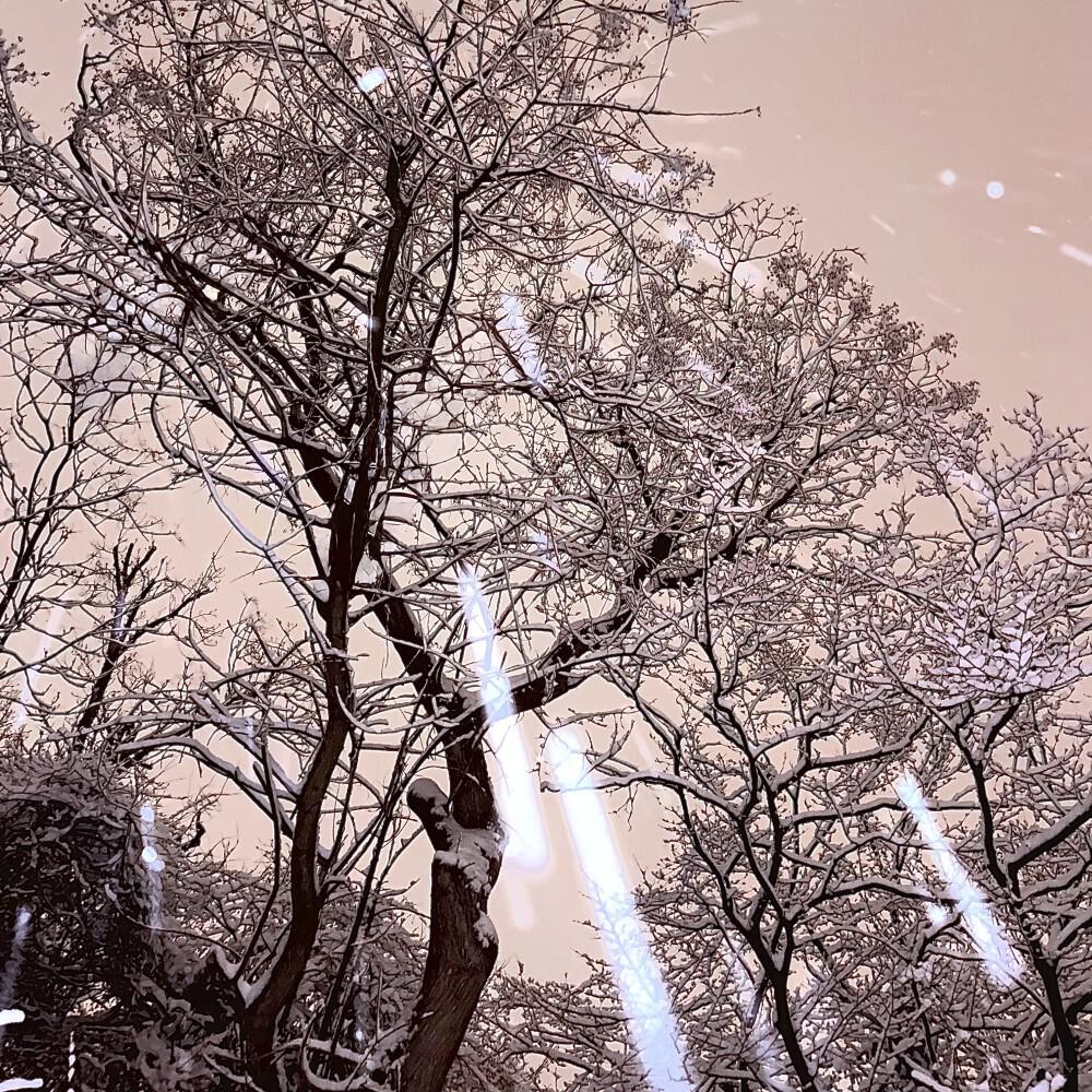 Релиз Sunlight