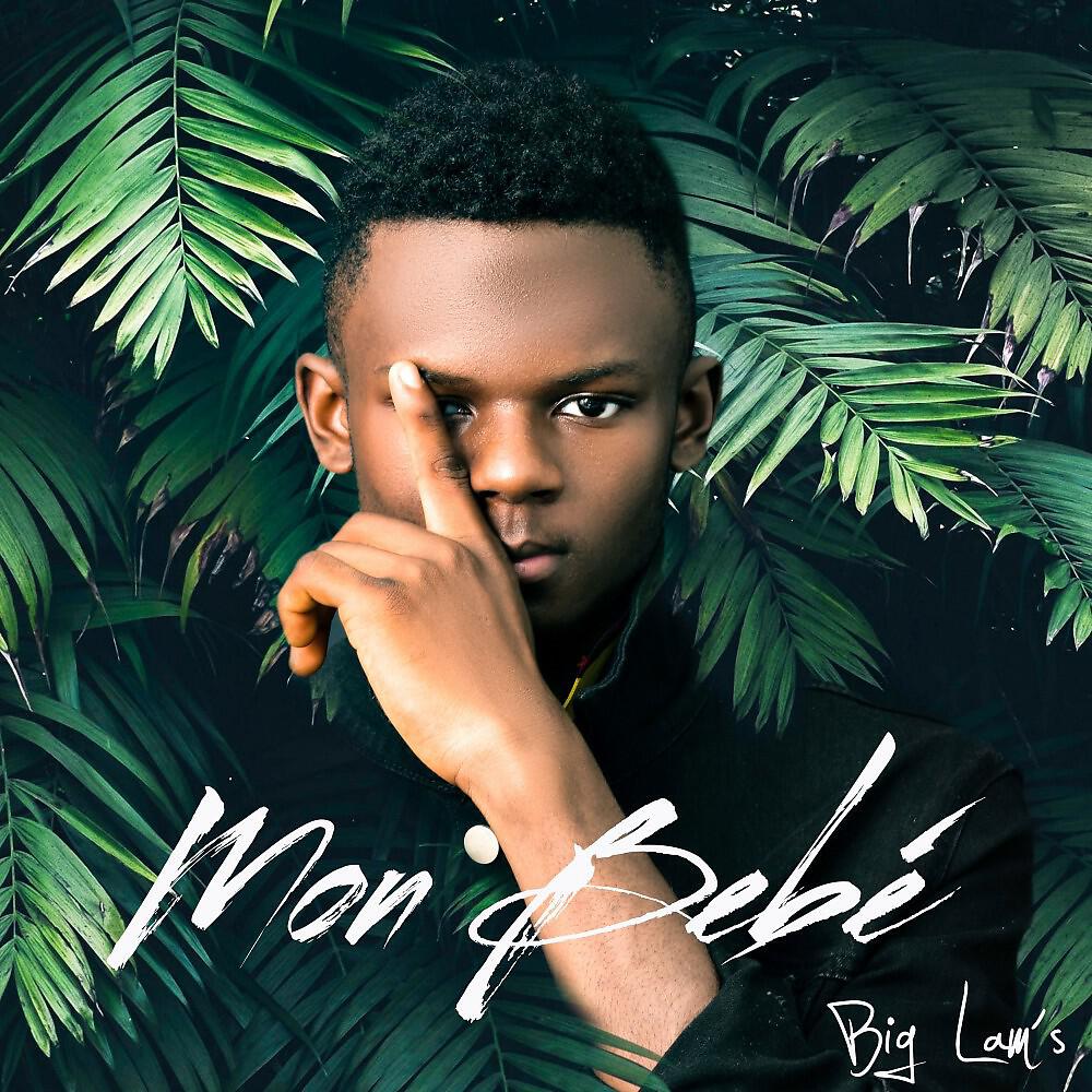 Релиз Mon bebé