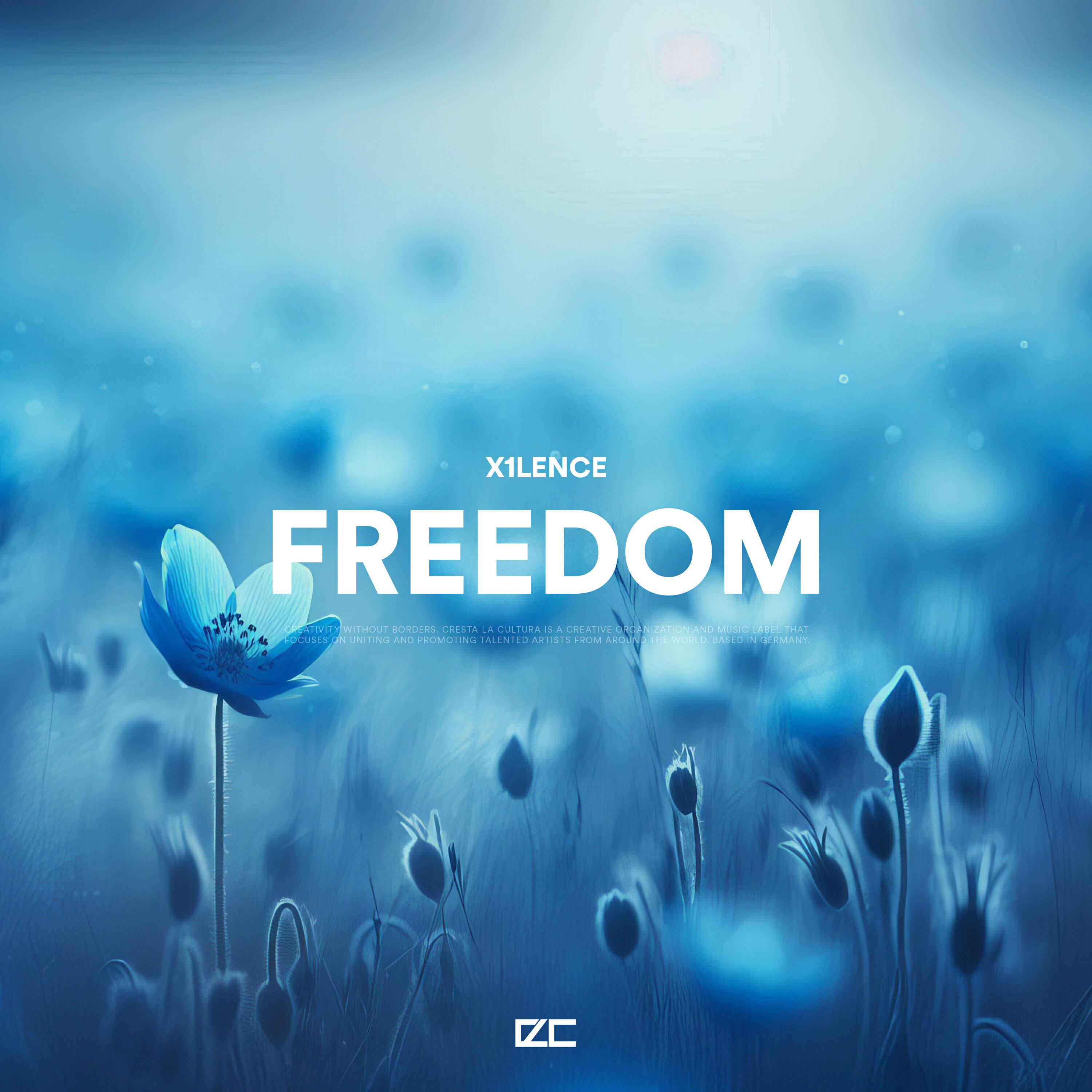 Релиз FREEDOM