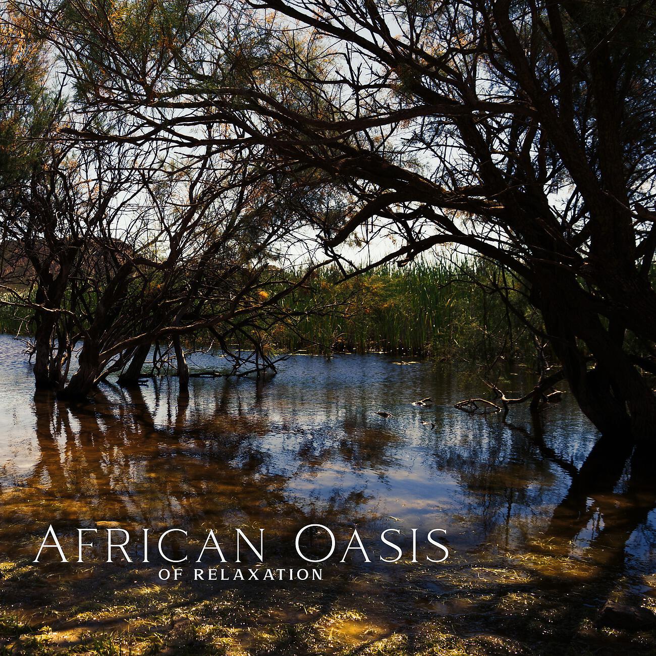 Релиз African Oasis of Relaxation