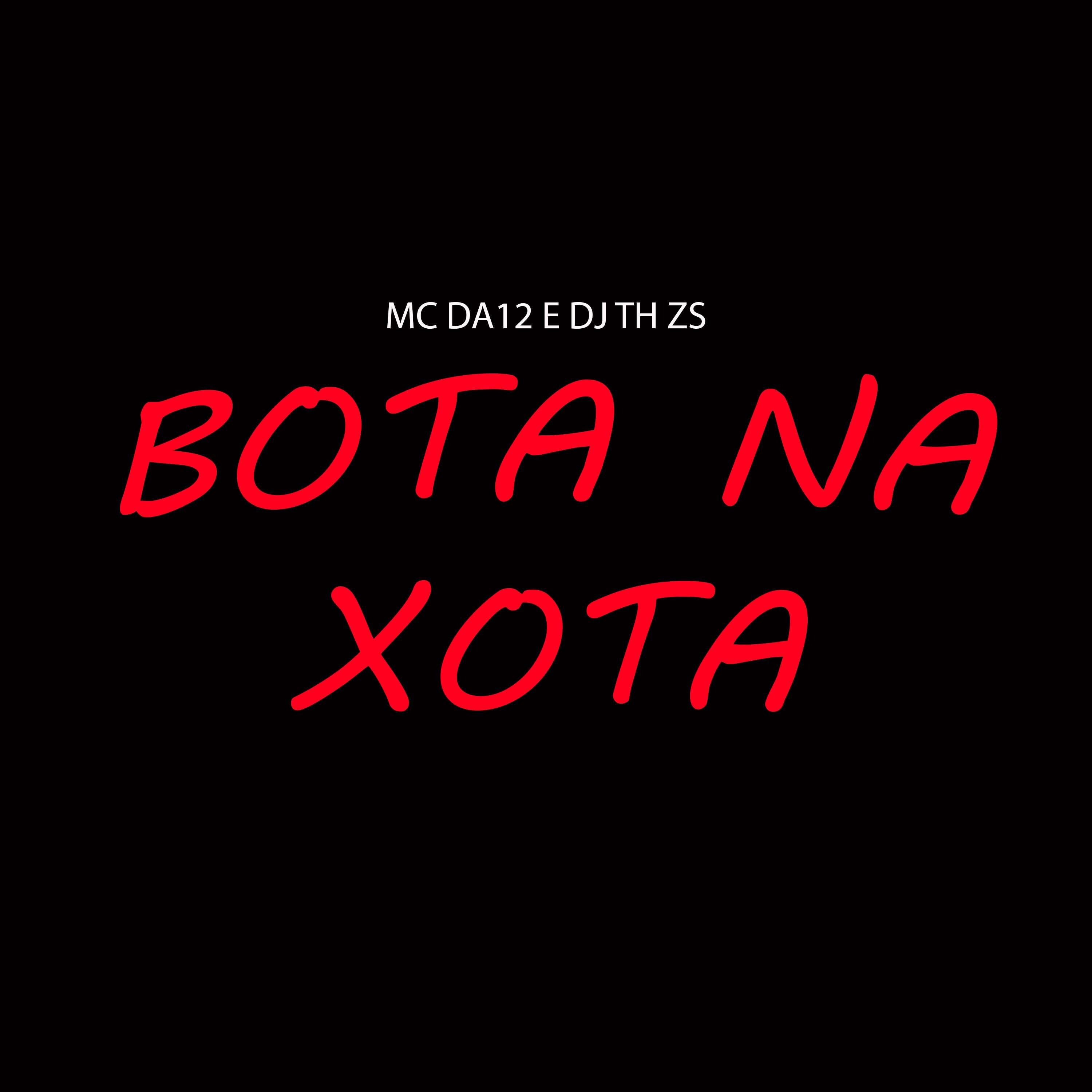 Скачать песню MC Da 12, DJ TH ZS - Bota na Xota Bota бесплатно в MP3 для Android и iOS
