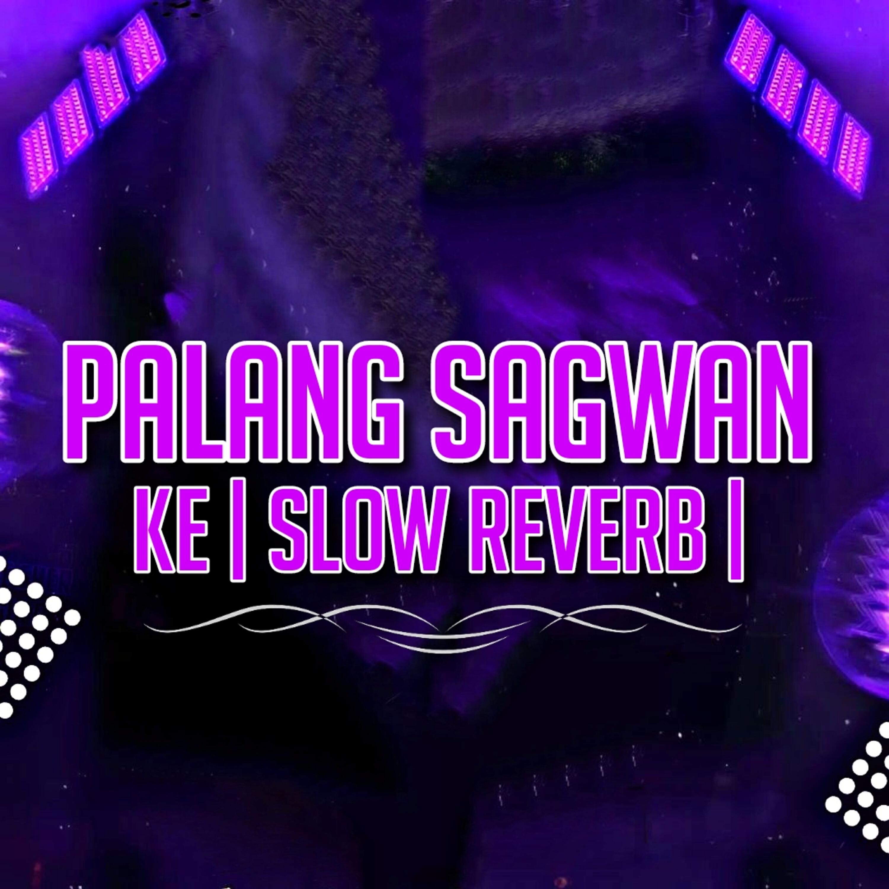 Релиз Palang Sagwan Ke
