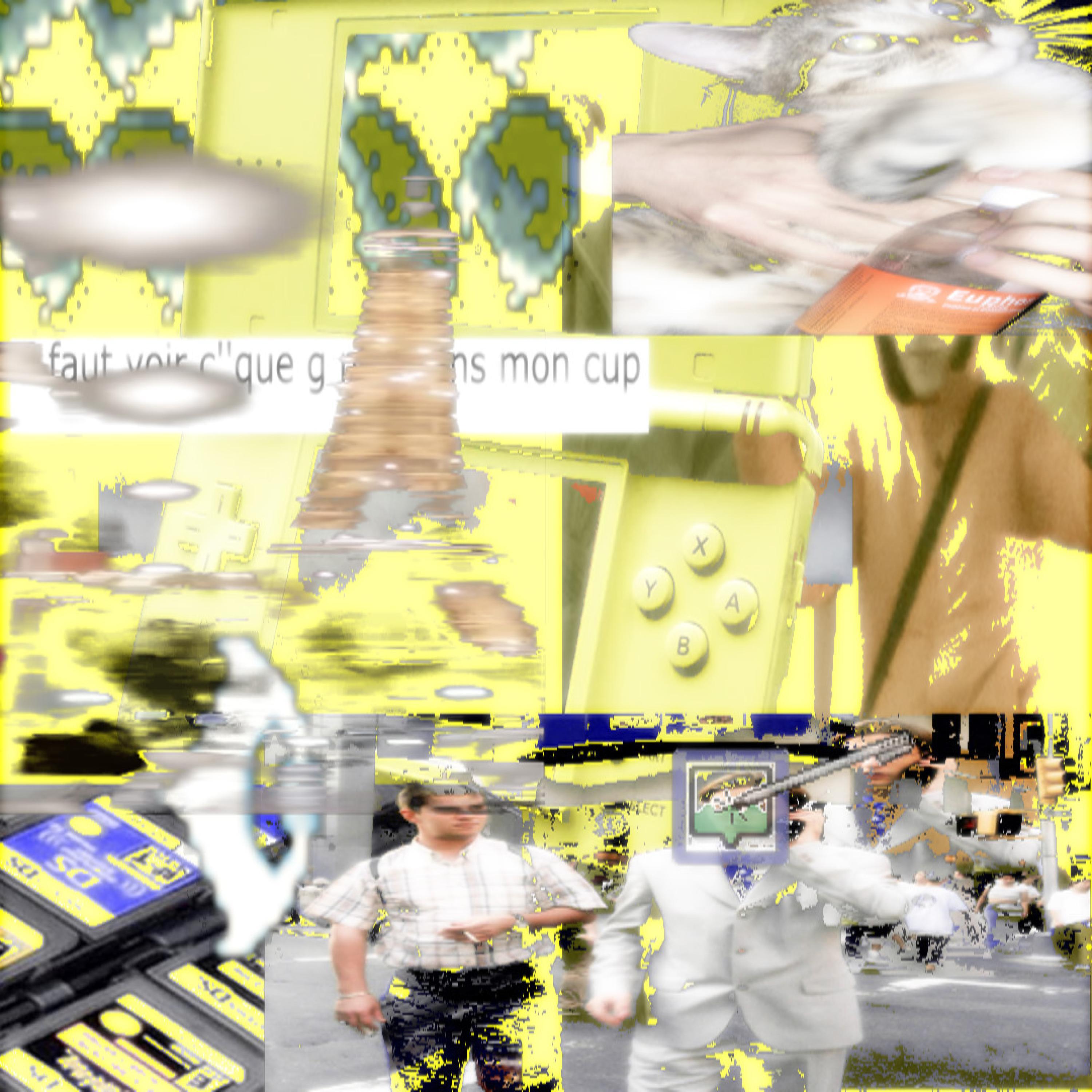 Релиз DSi