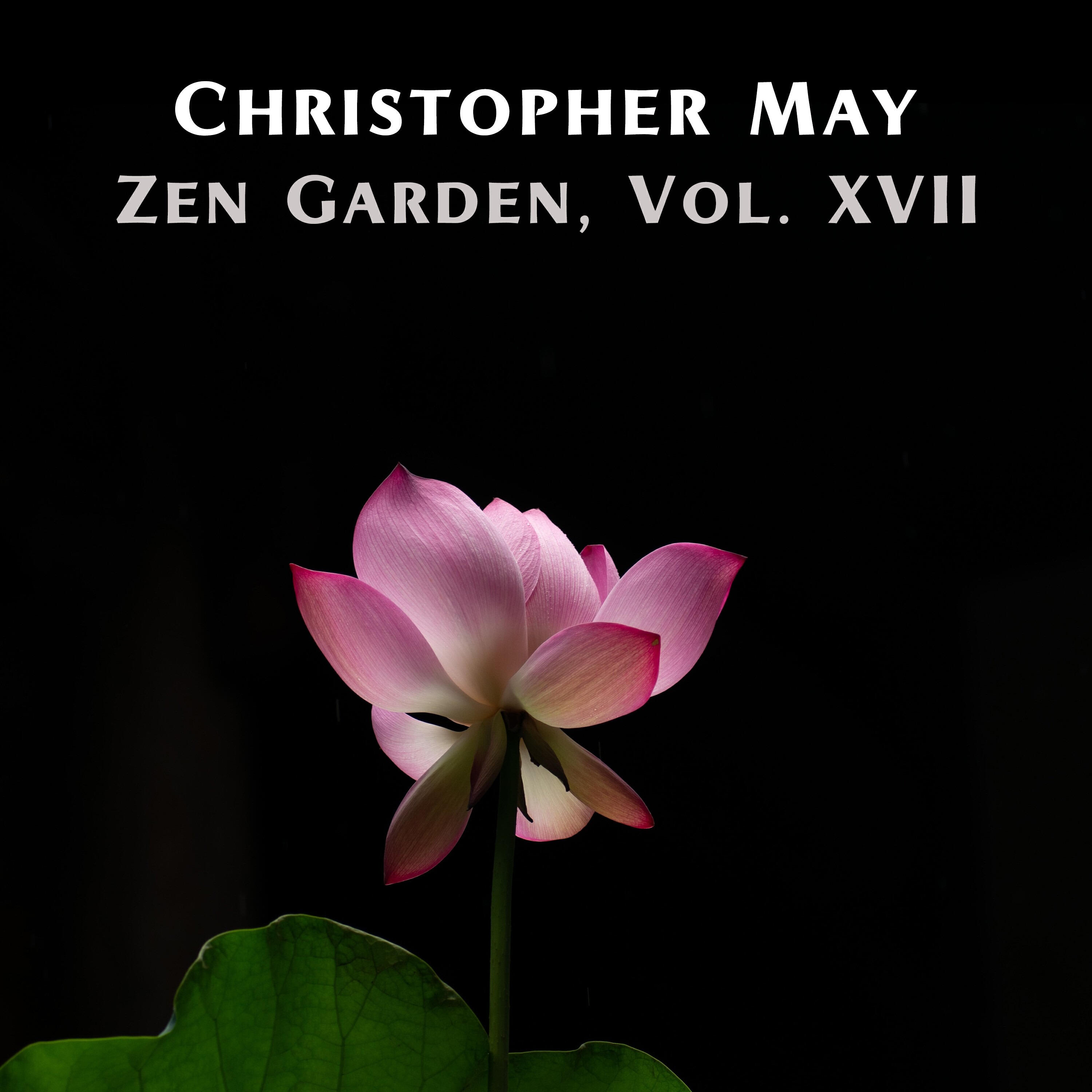 Релиз Zen Garden, Vol. XVII
