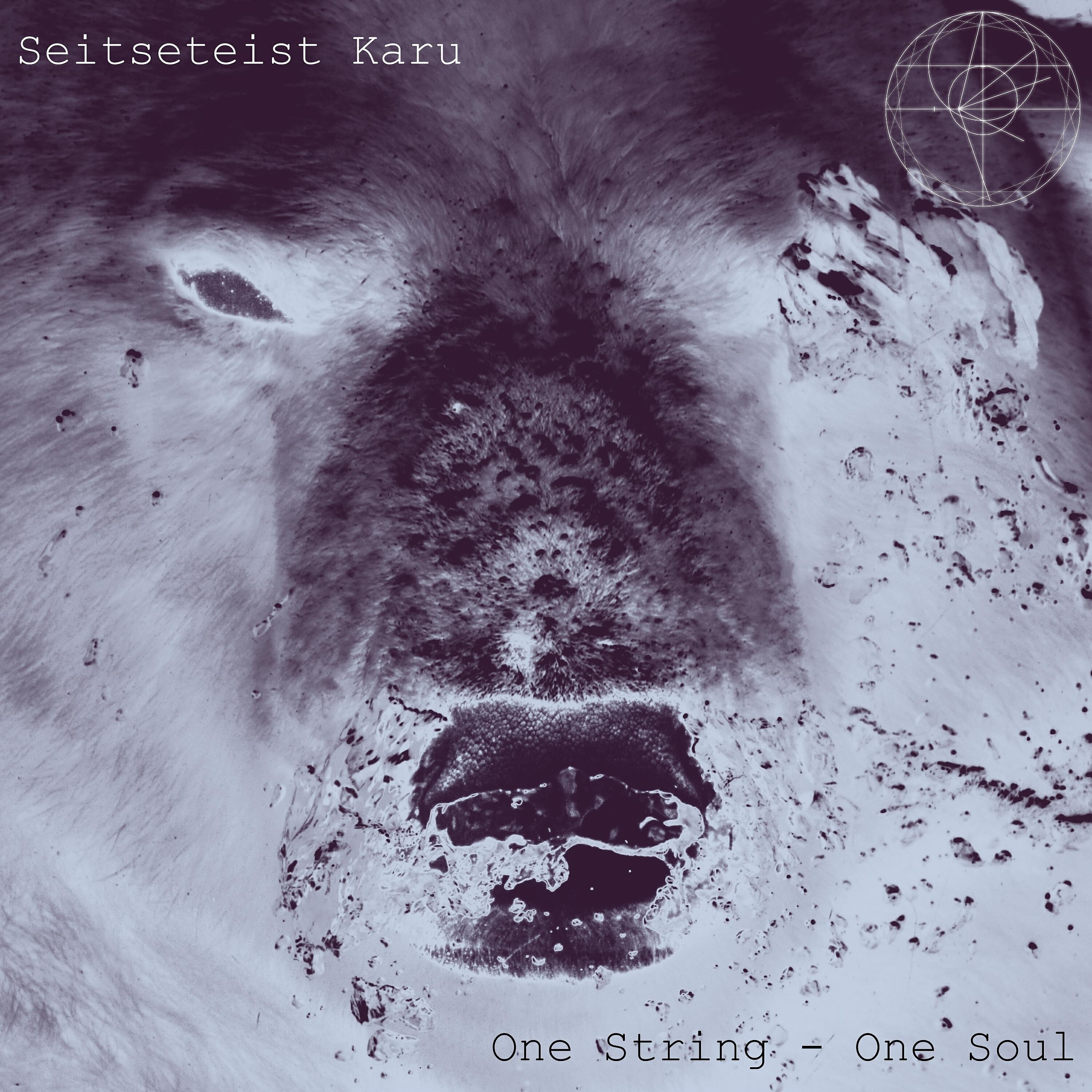 Релиз Seitseteist Karu