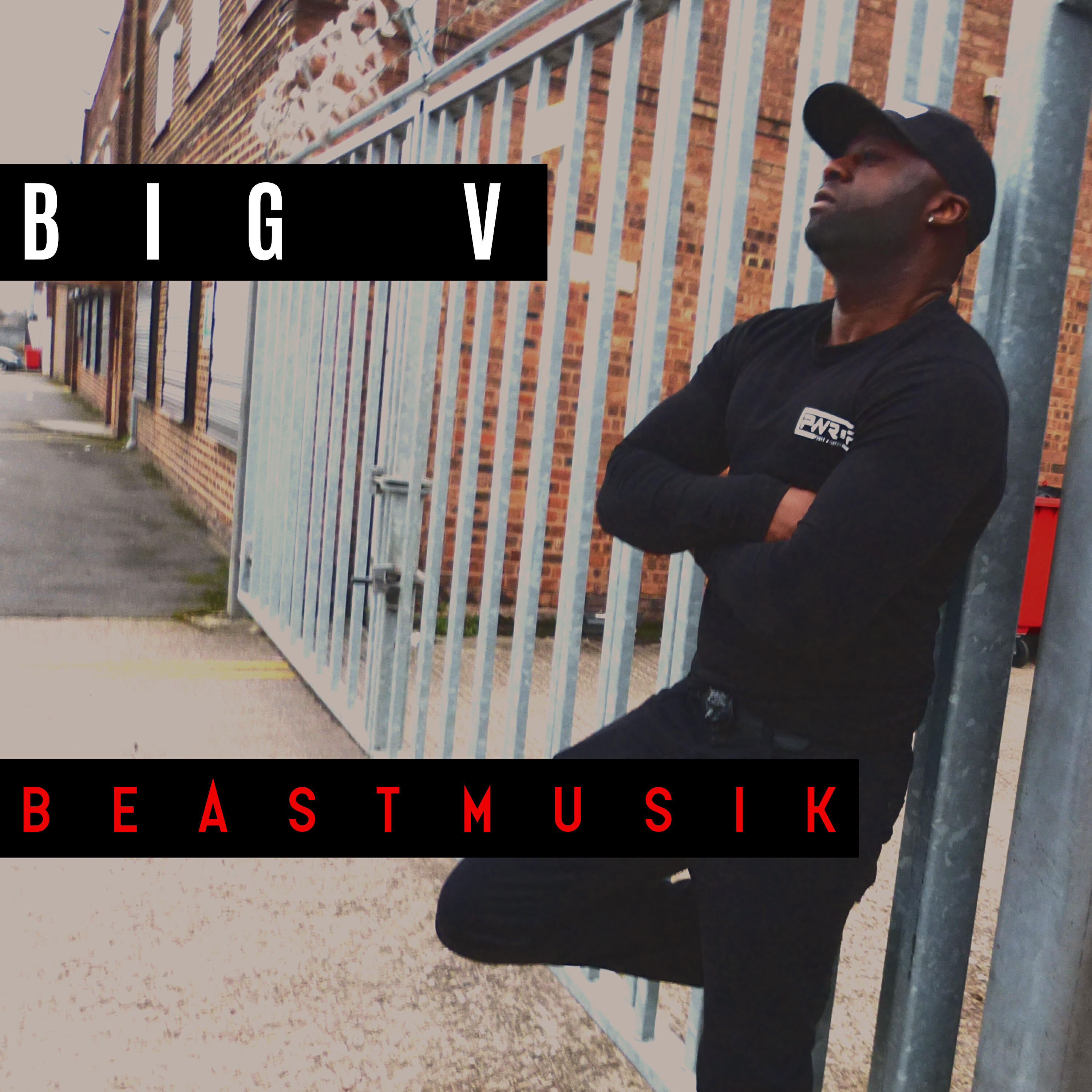 Релиз Beastmusik