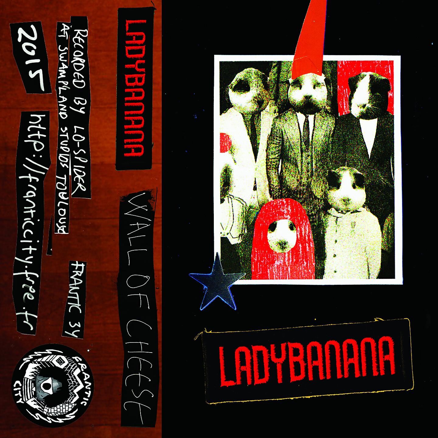 Релиз Wall of Cheese