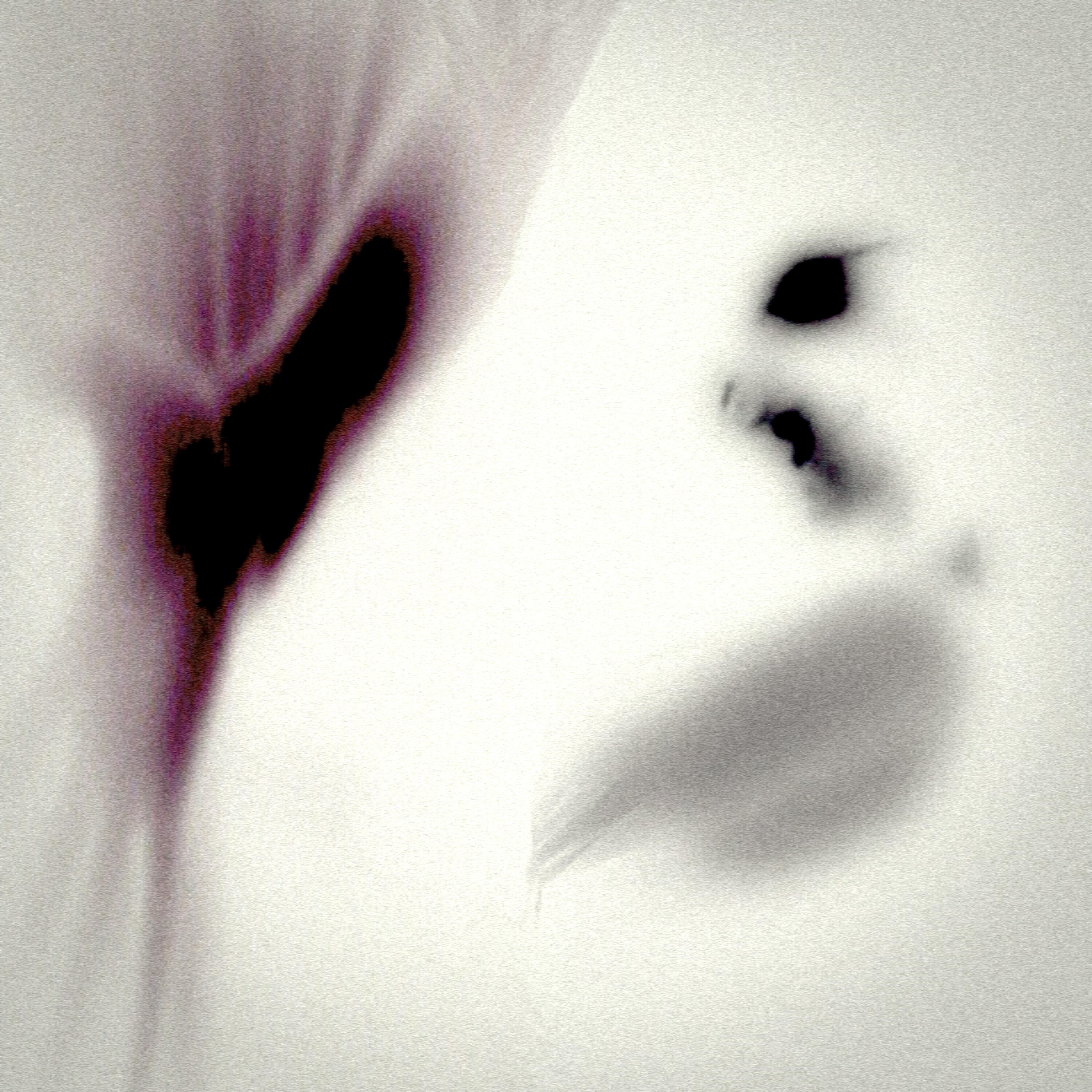 Релиз 18th floor