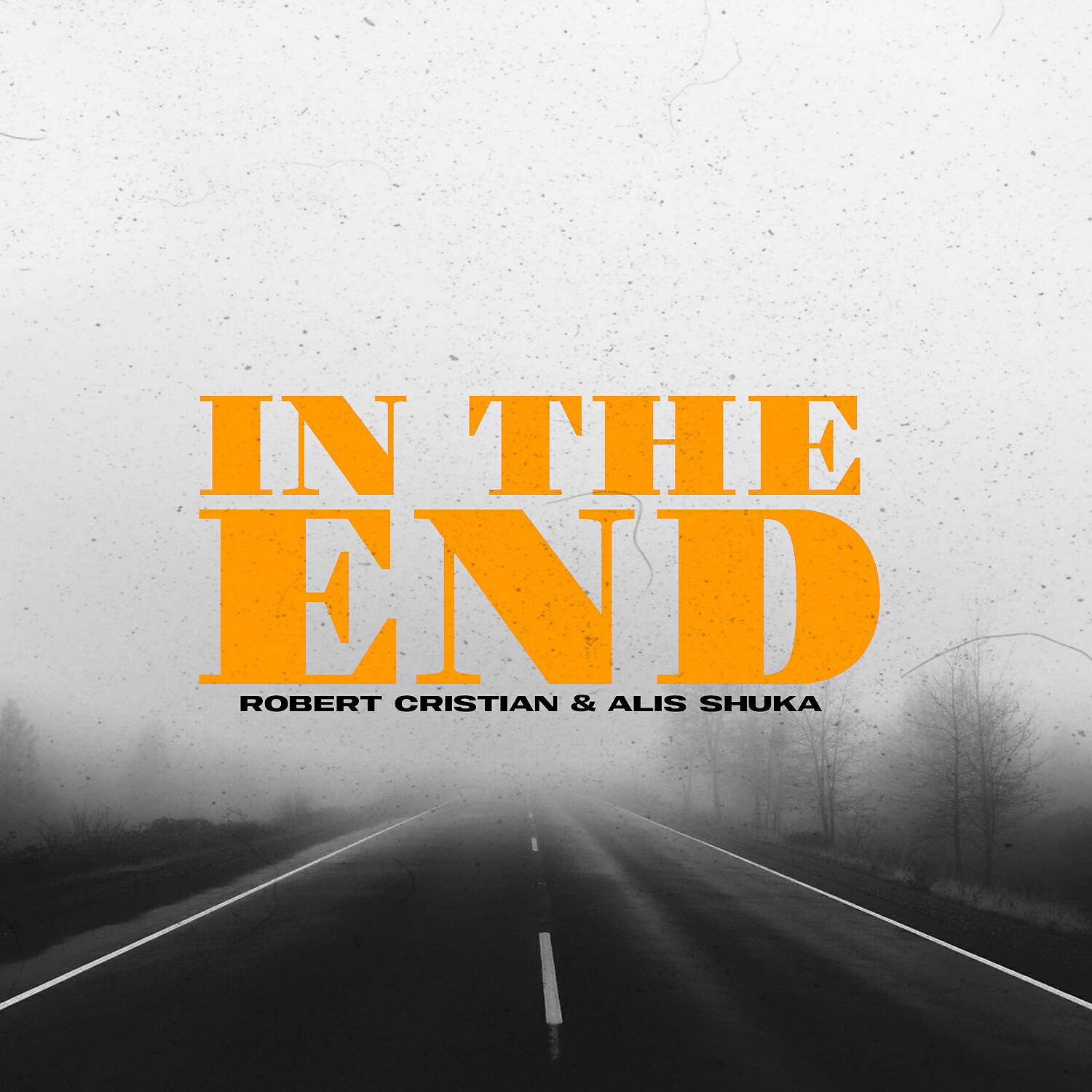 Скачать песню Robert Cristian, Alis Shuka - In The End бесплатно в MP3 для Android и iOS