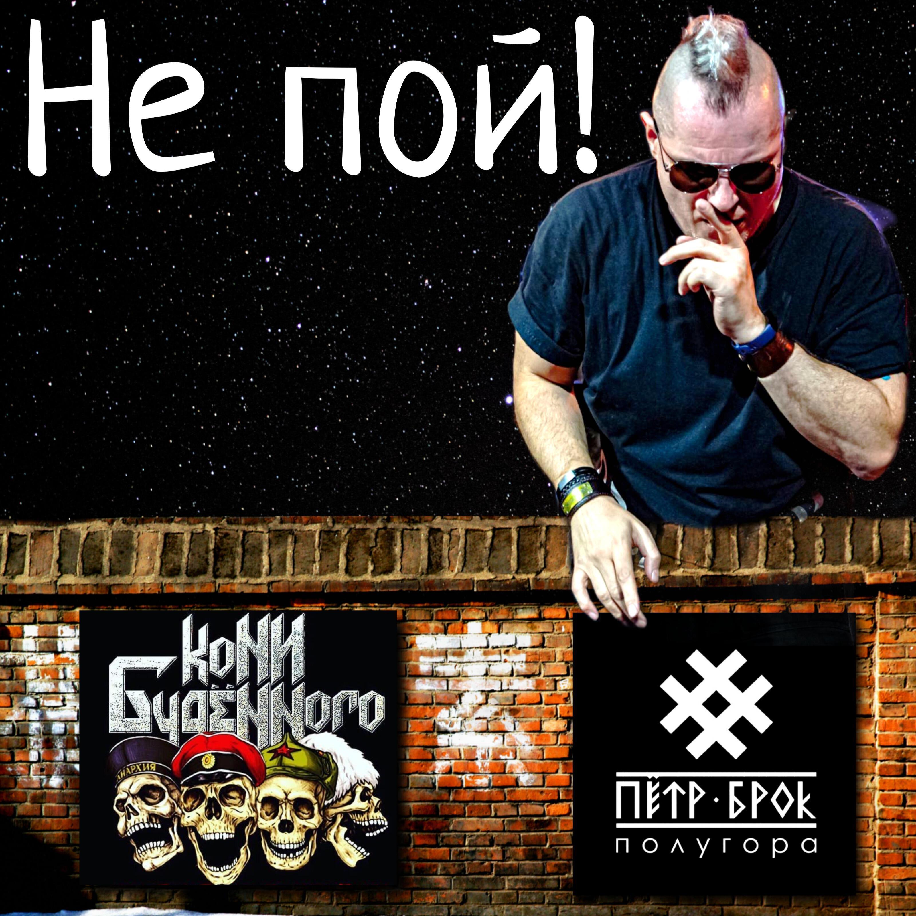 Кони Буденного