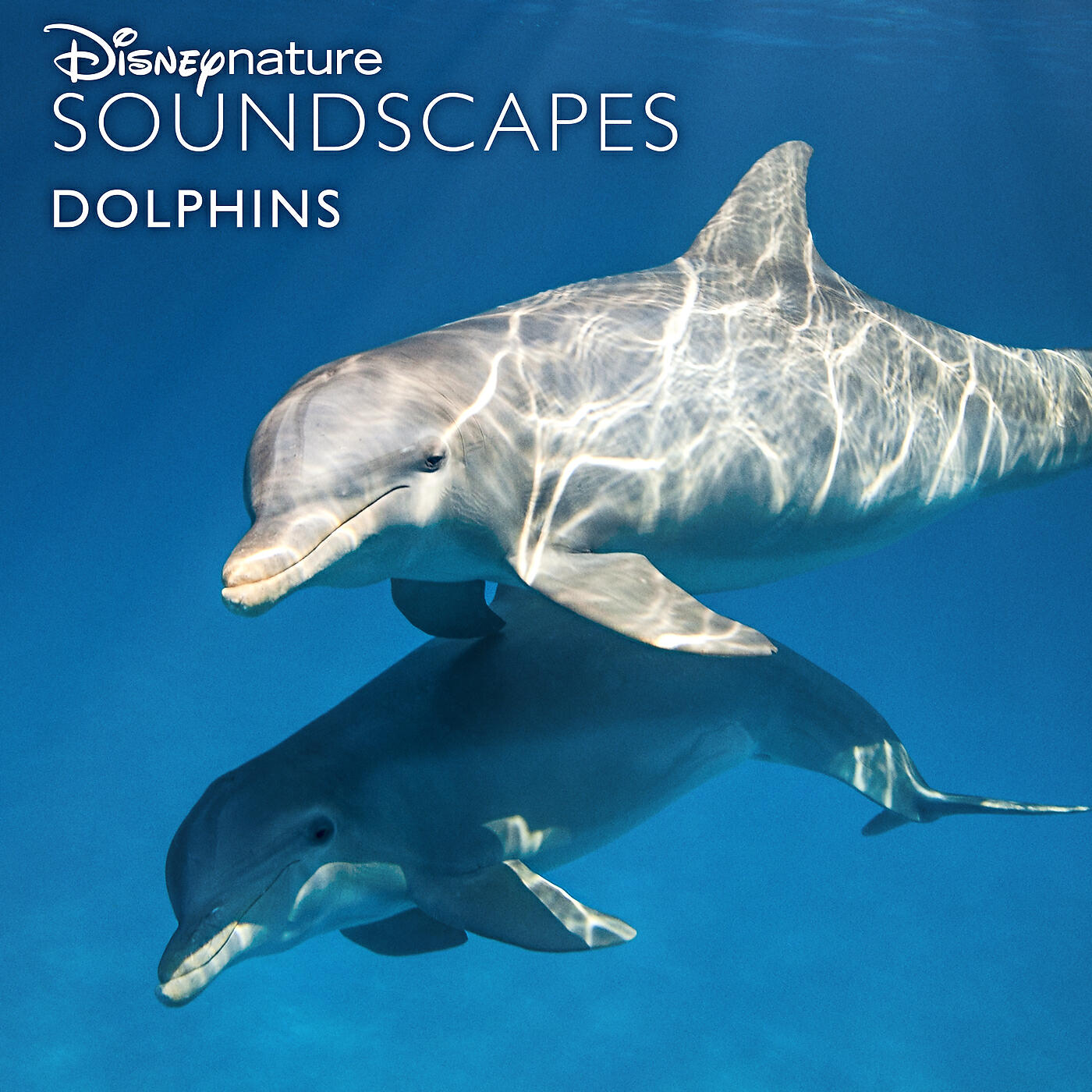 Релиз Disneynature Soundscapes: Dolphins