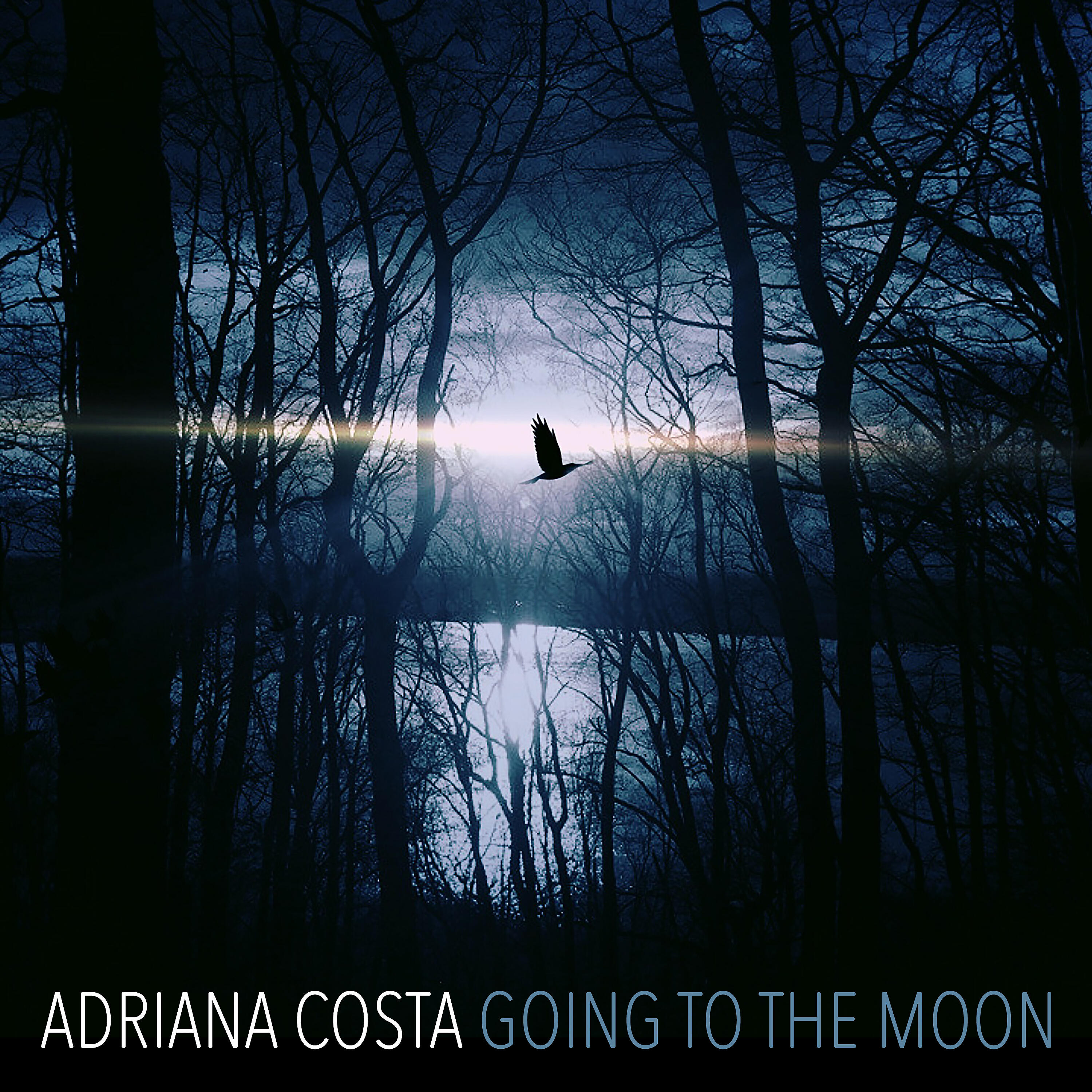 Релиз Going to the Moon