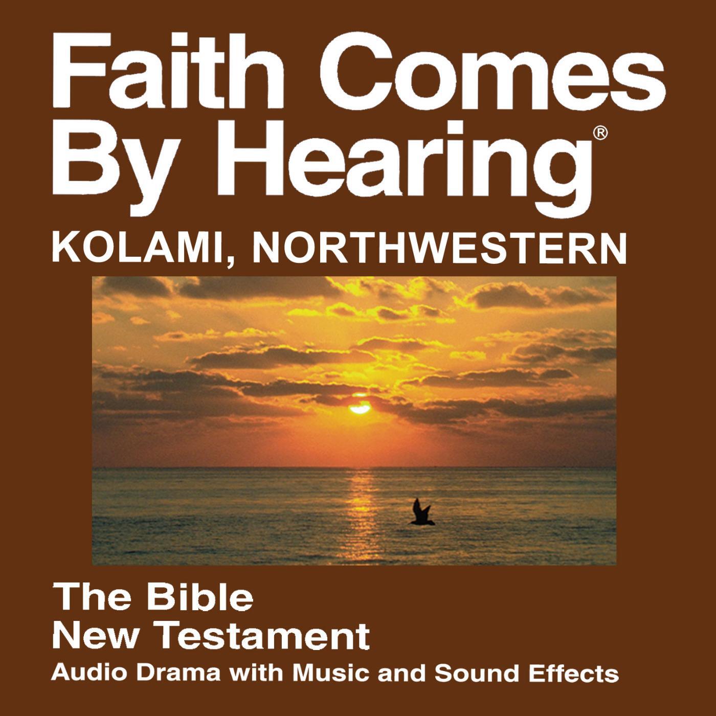 Релиз Kolami Northwestern New Testament (Dramatized)