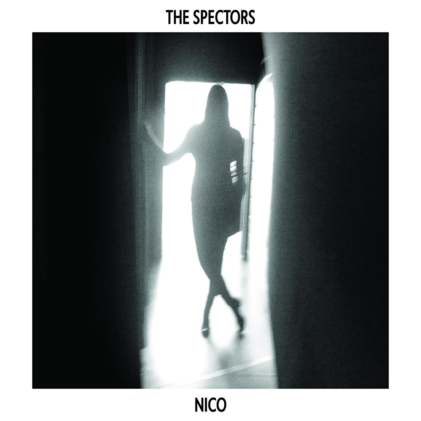 Релиз Nico