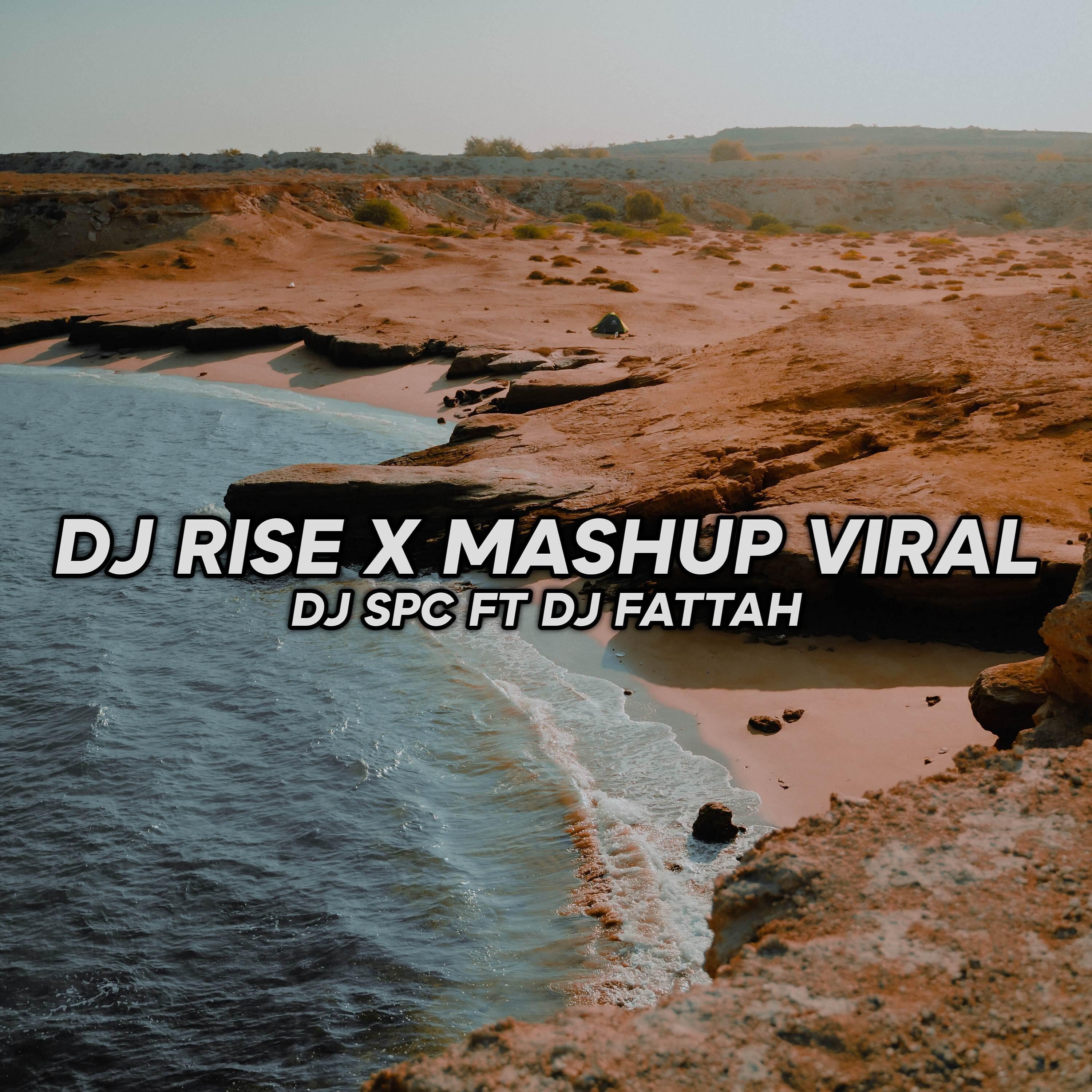 Релиз DJ Rise x Mashup Viral (Feat. DJ Fattah)